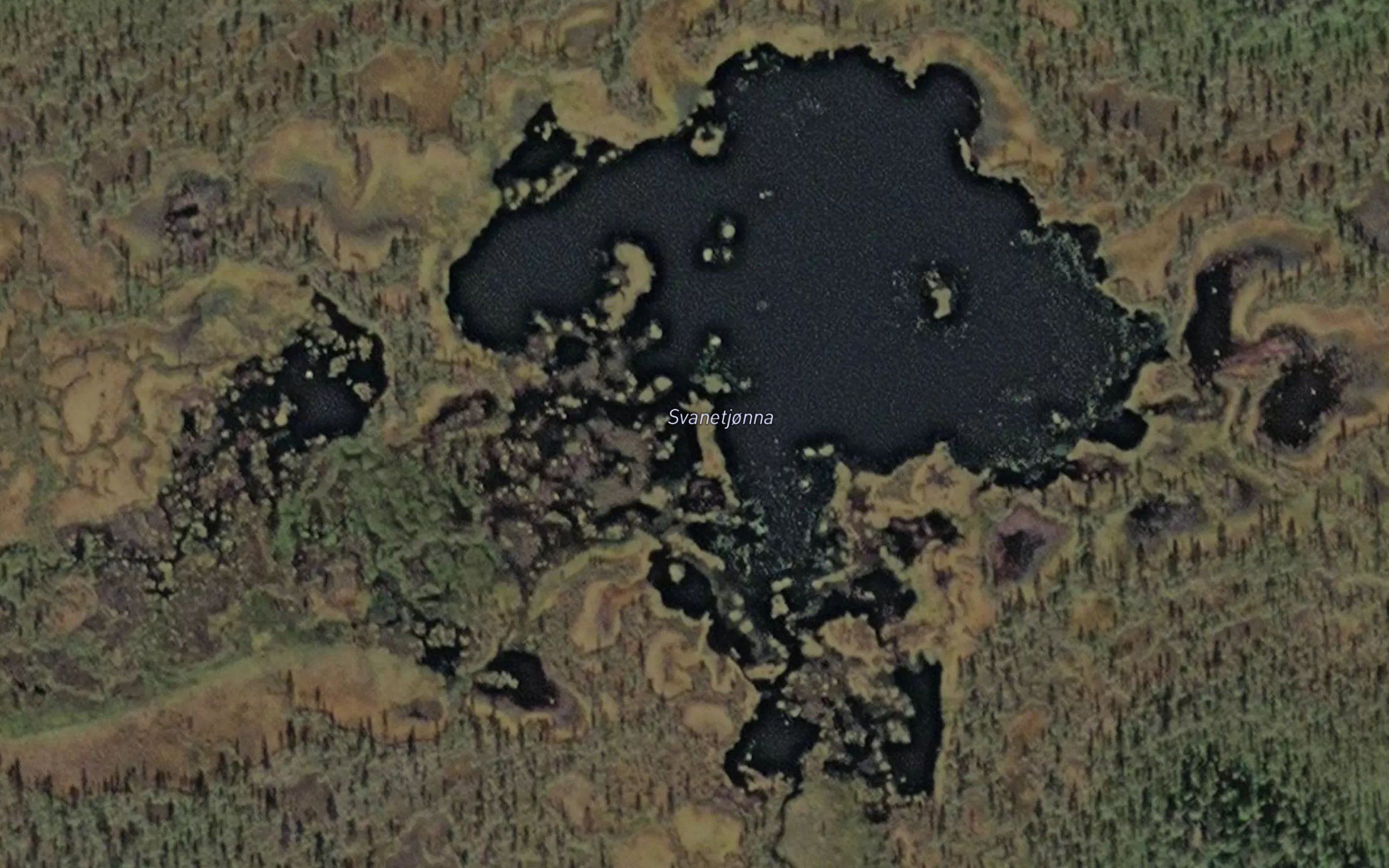 Svanetjonna