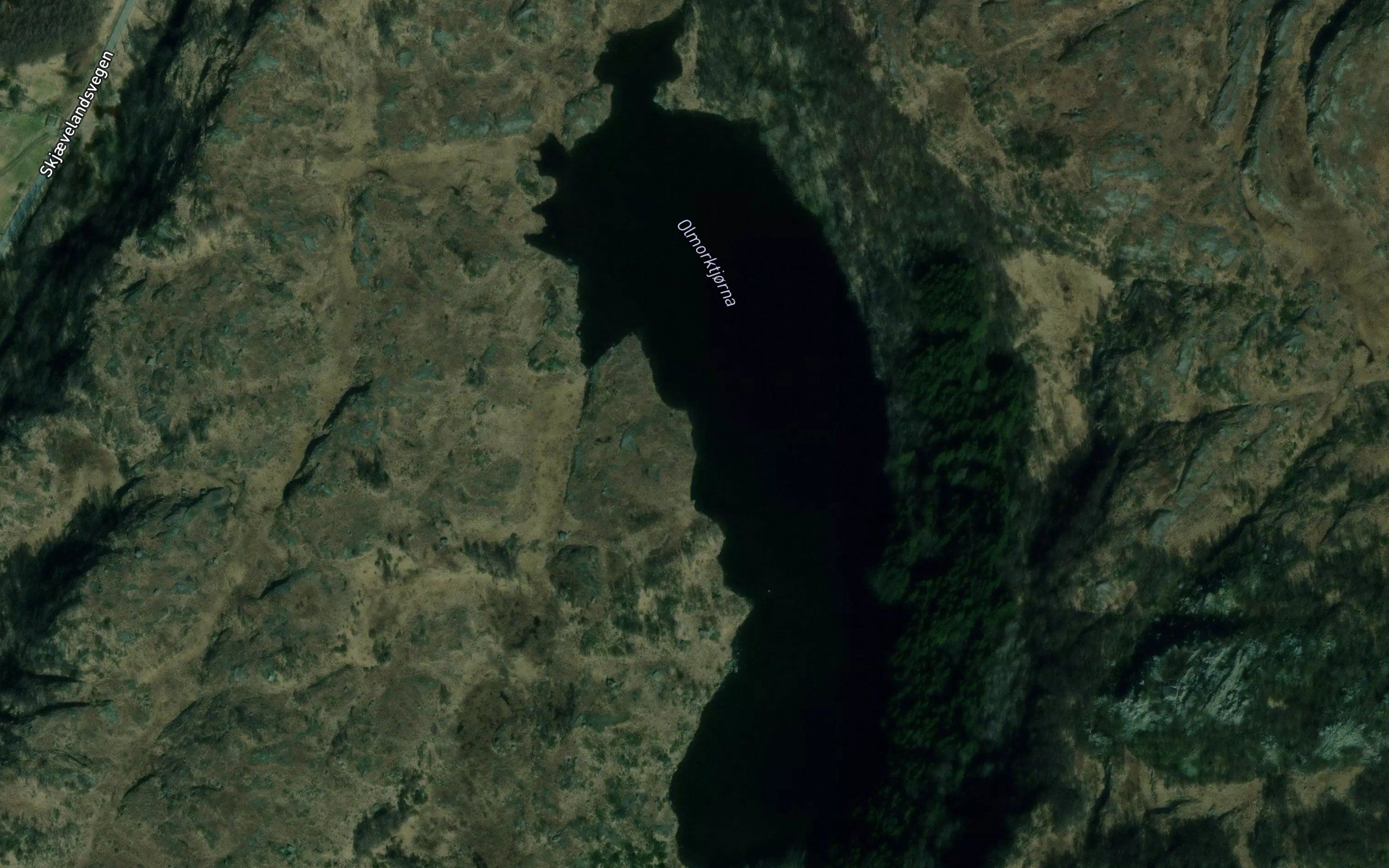 Olmorktjorna