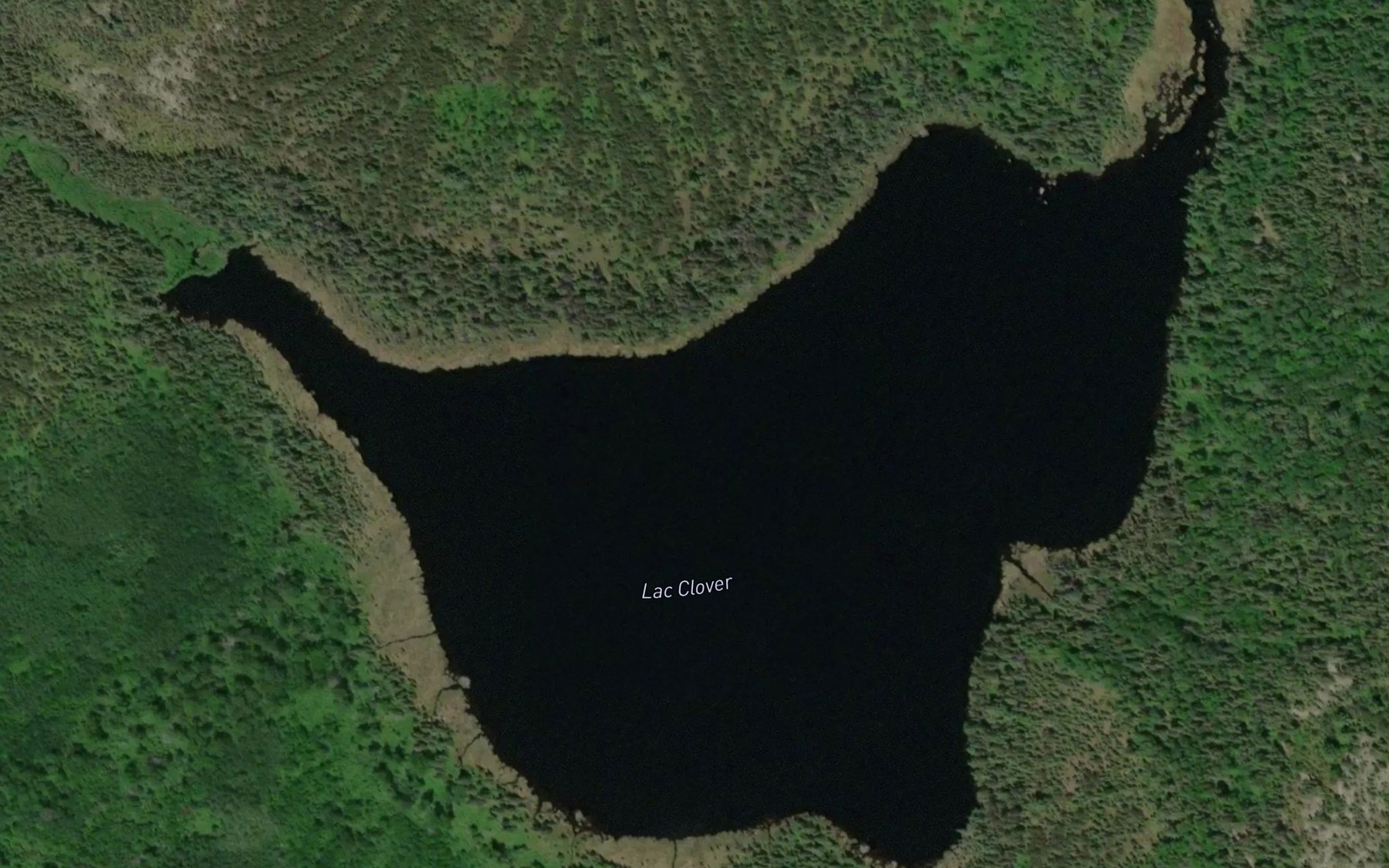 Satellite map of the Lac Clover