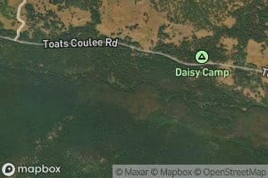Daisy Creek