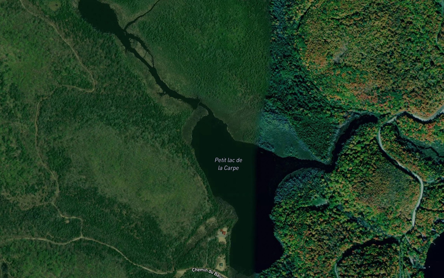 Satellite map of the Petit lac de la Carpe