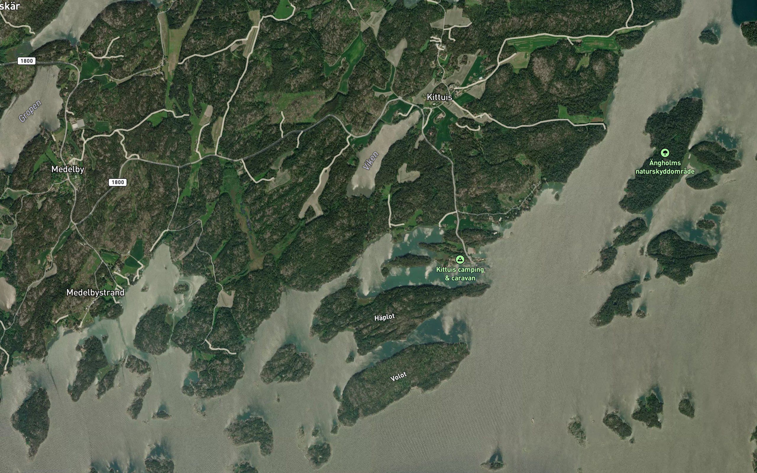 Vikminnet