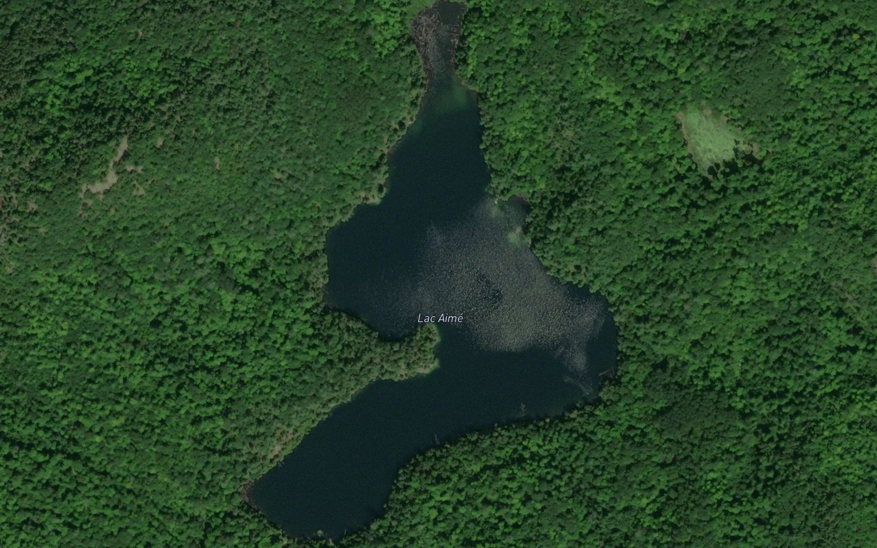 Satellite map of the Lac Aime