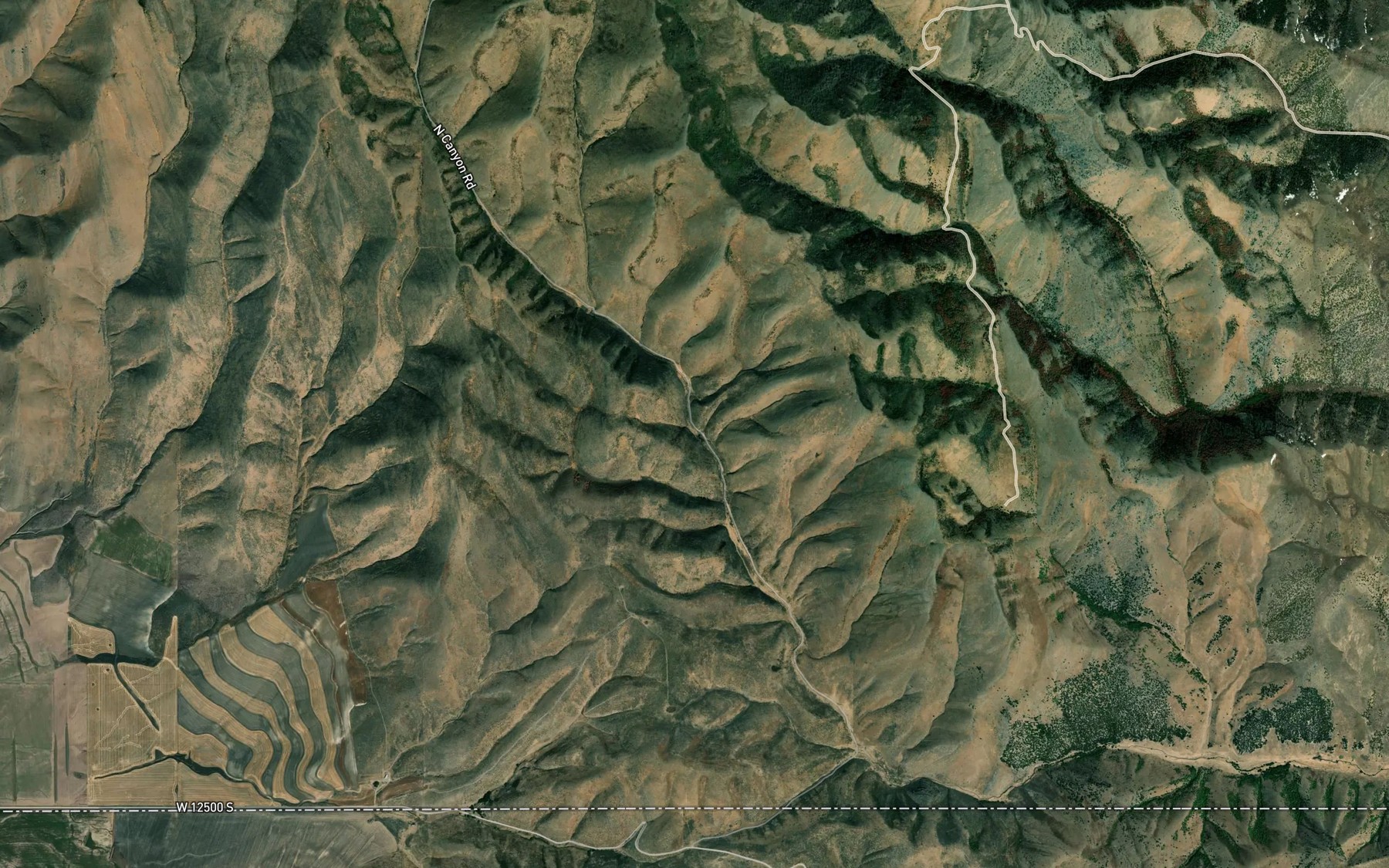 Satellite map of the Gibbs Spring