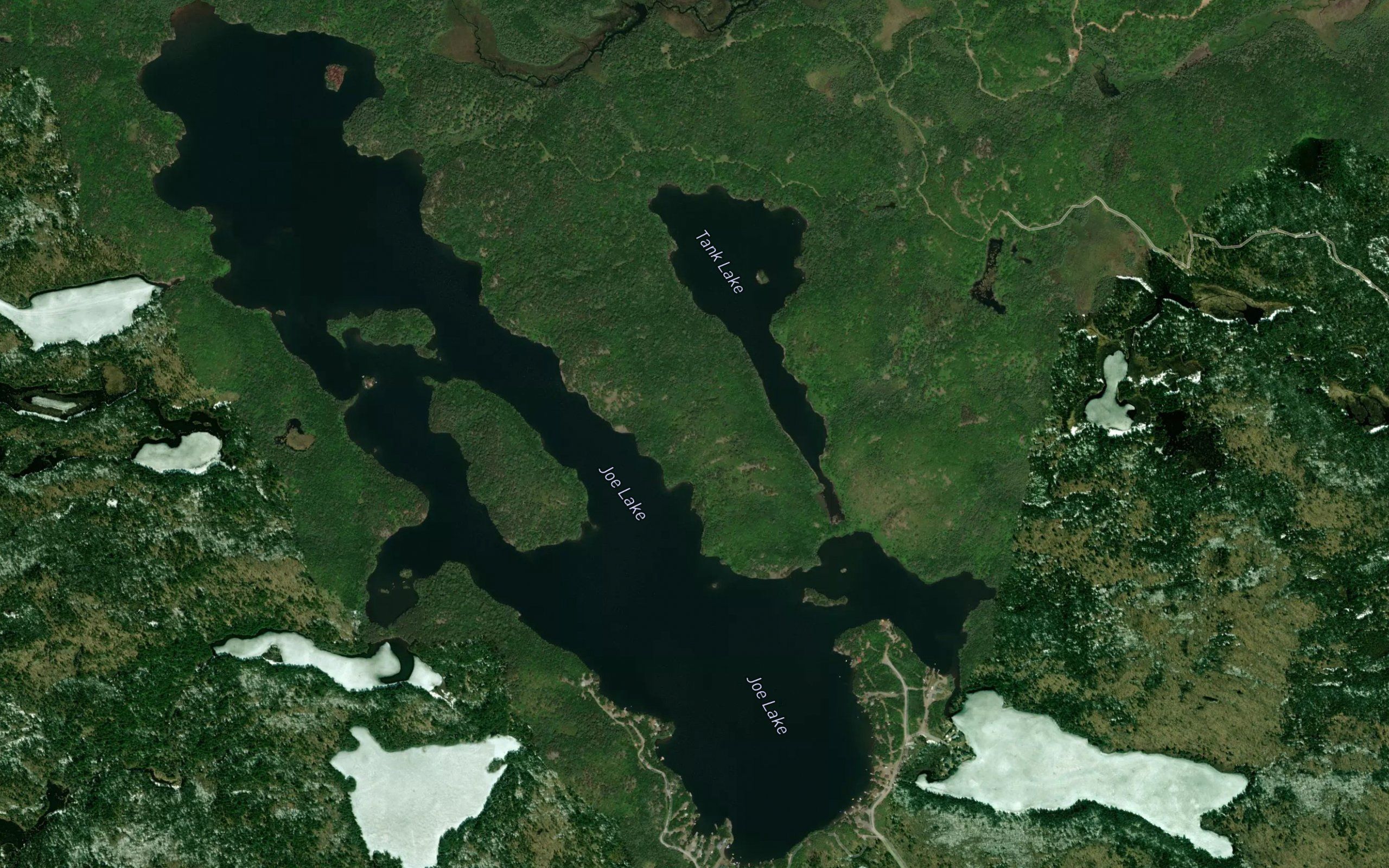 Joe Lake