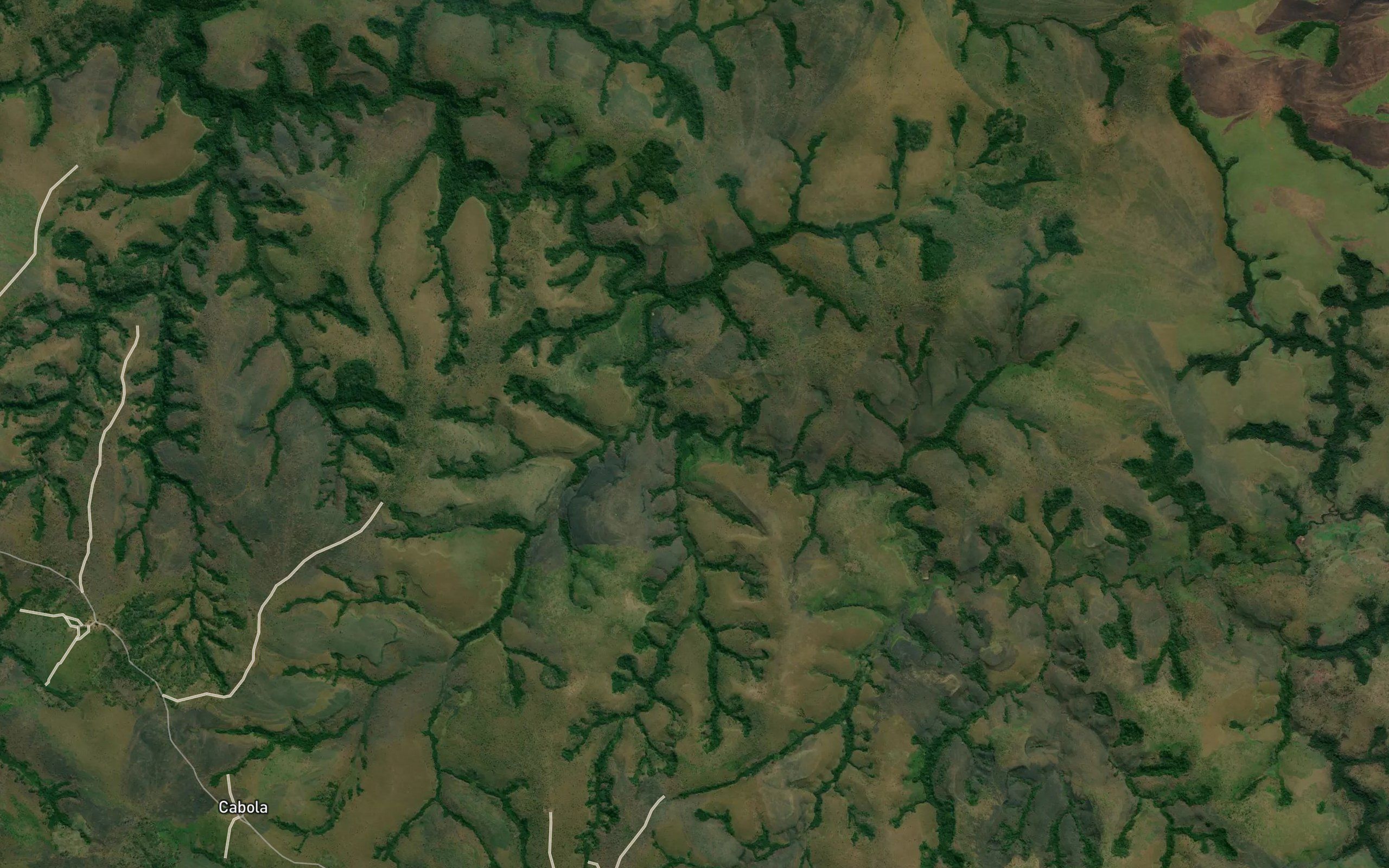 Tchingongo