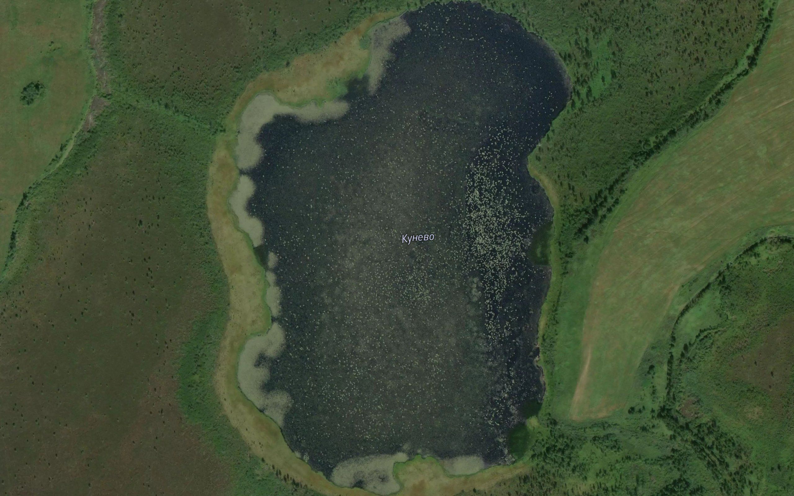 Ozero Kunevo