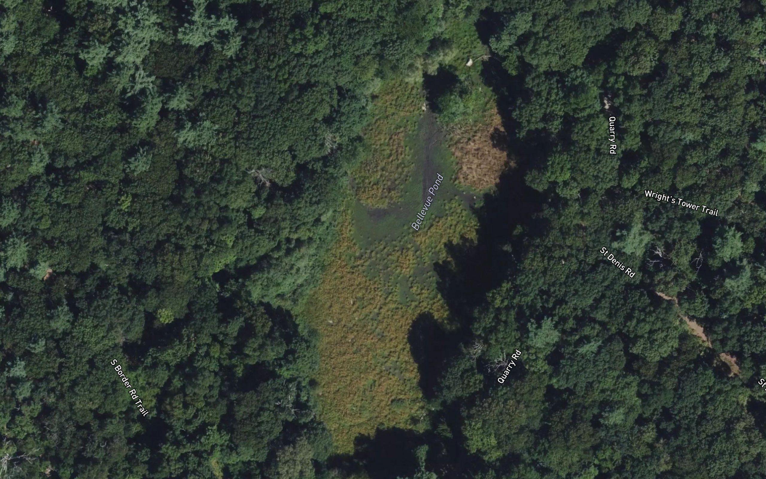 Bellevue Pond