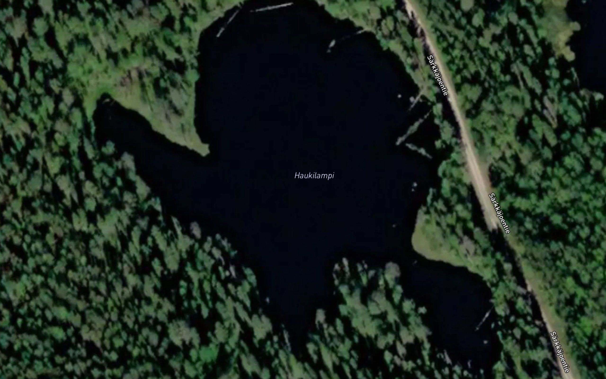Haukilampi