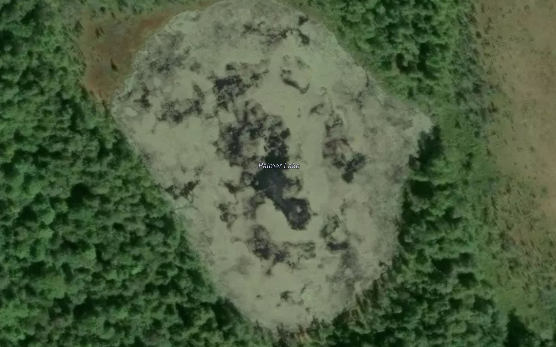 Satellite map of the Palmer Lake