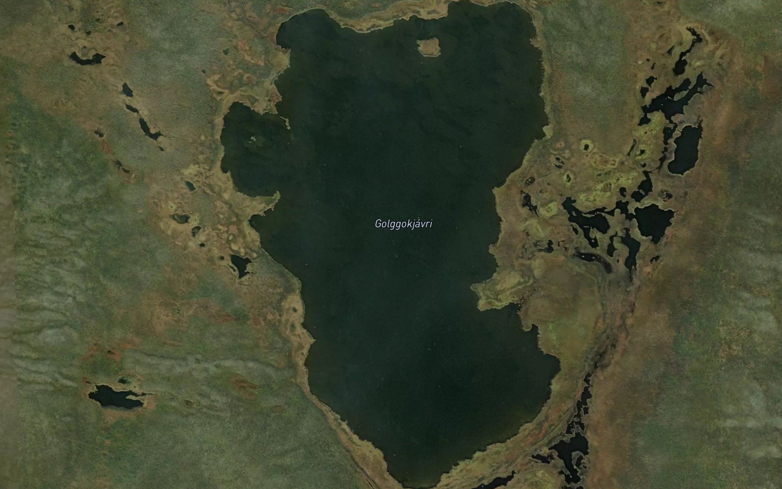 Golggokjavri