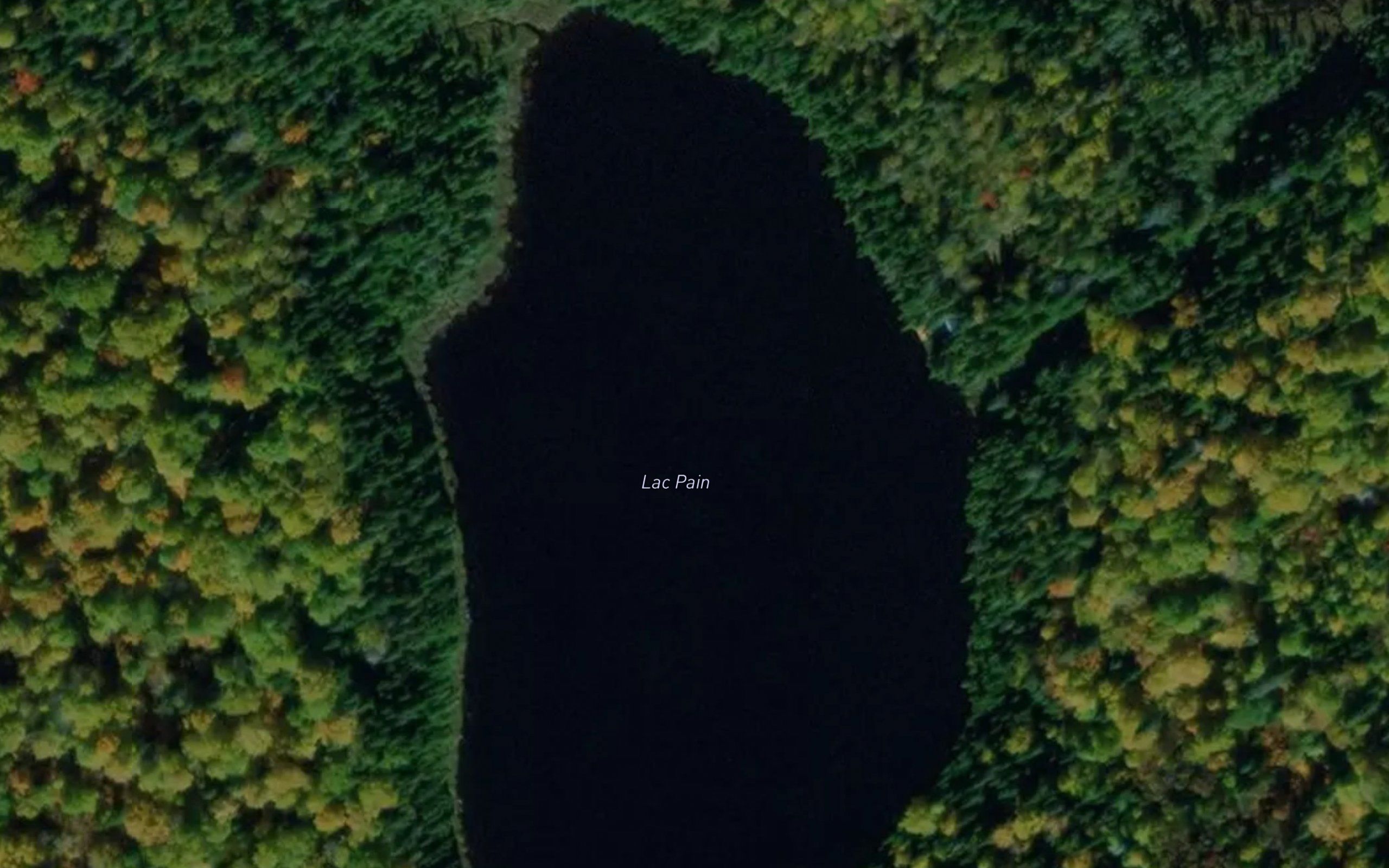 Lac Pain