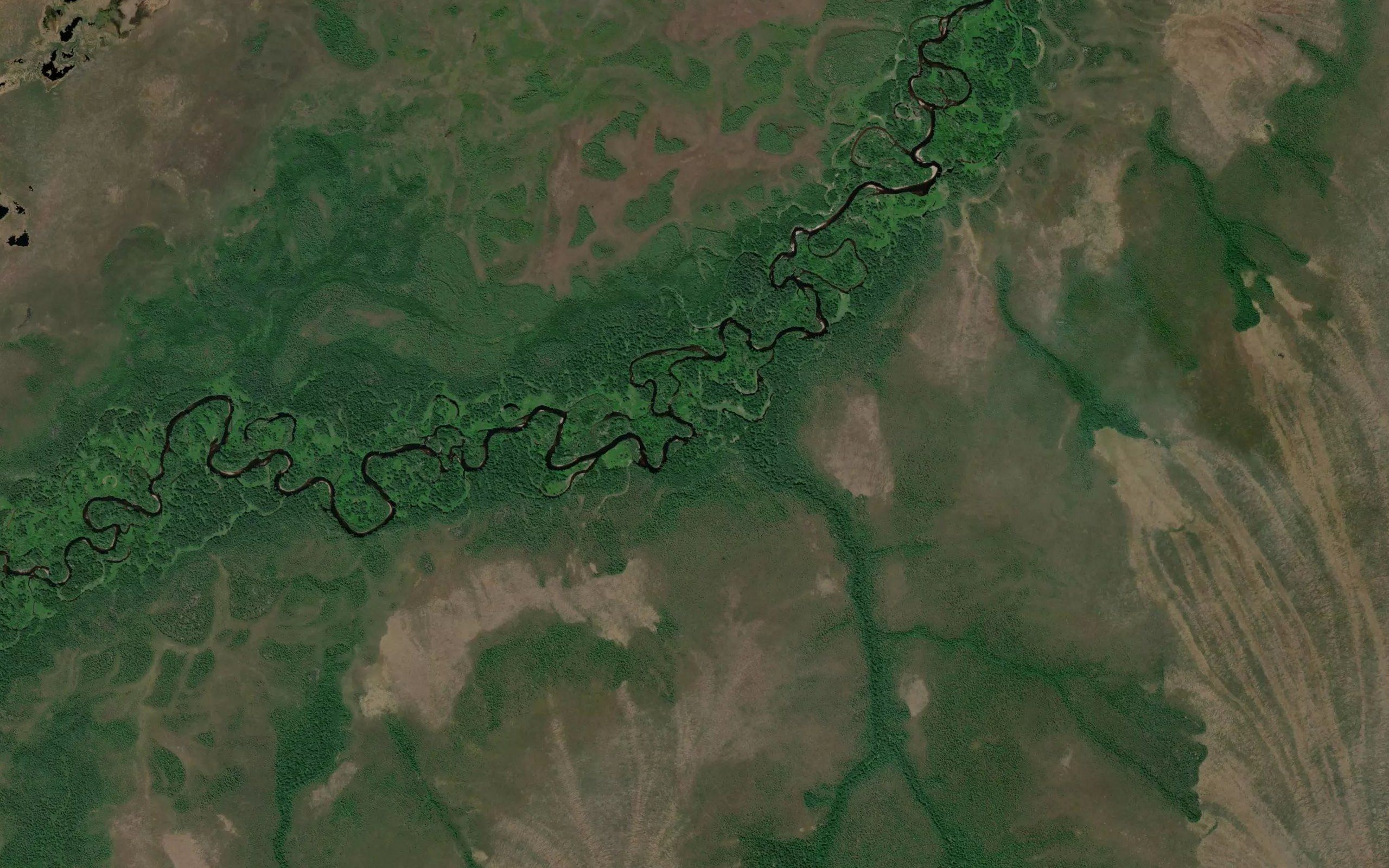 Tikhiy