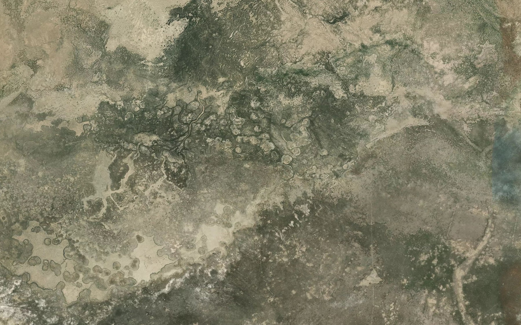 Satellite map of the Muynakskiy Zaliv