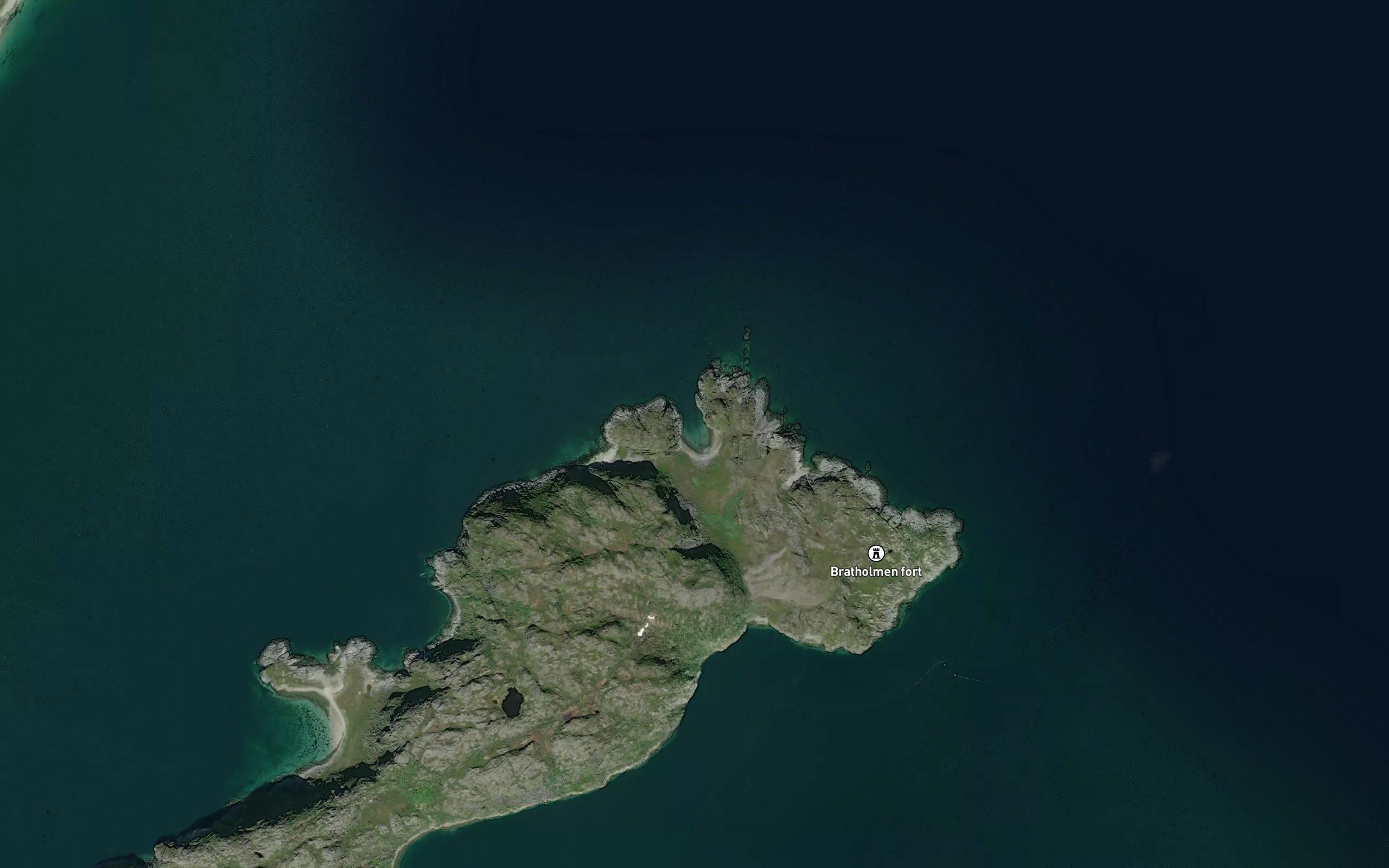 Tammavakki