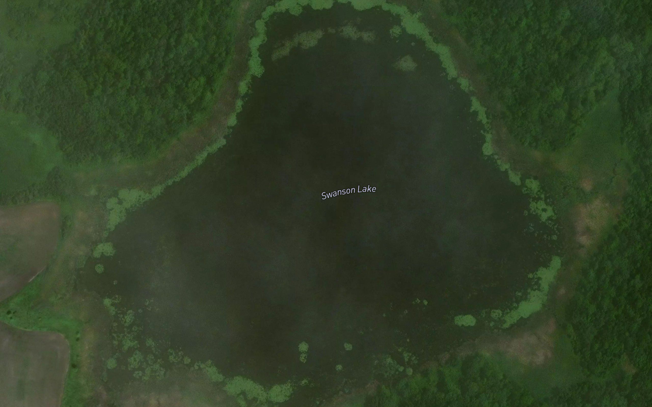 Swanson Lake