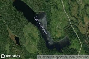 Lac Carrier