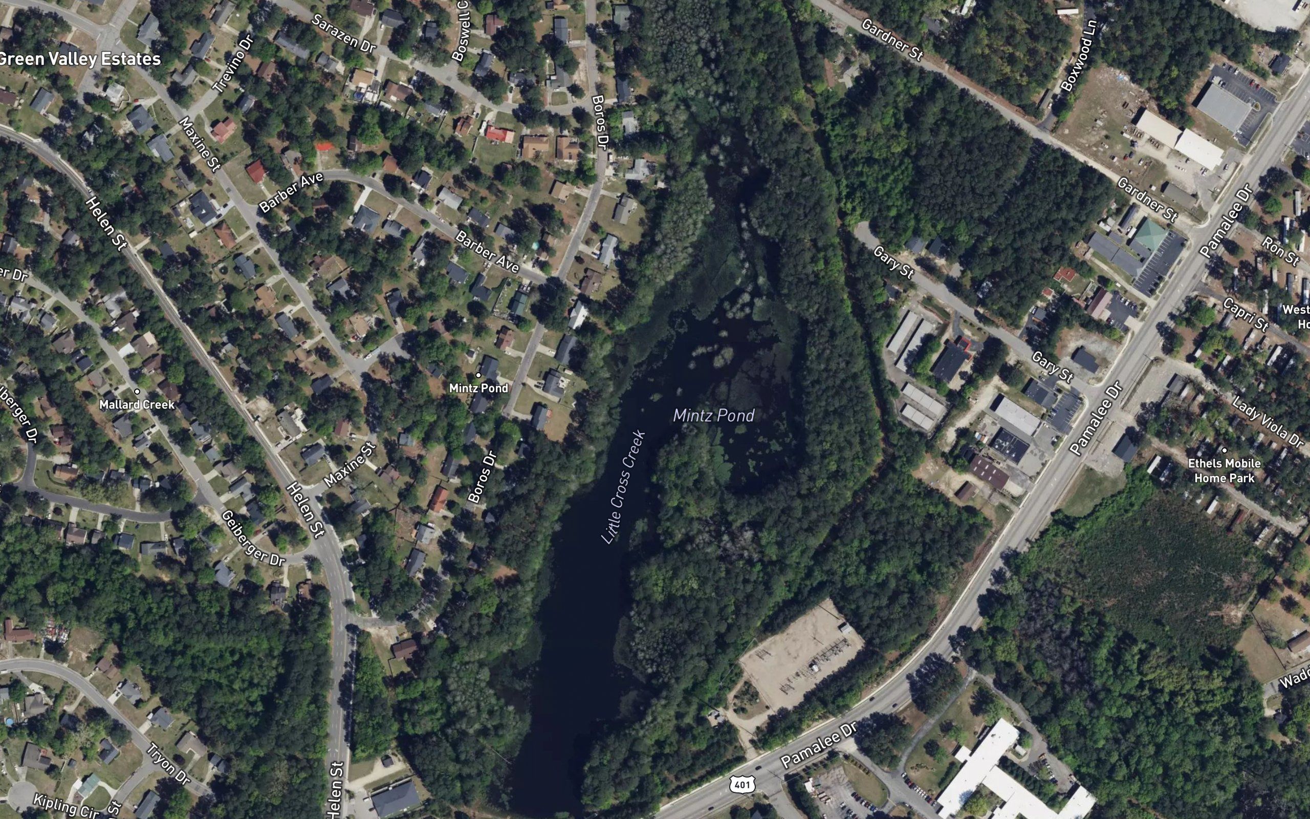 Mintz Pond
