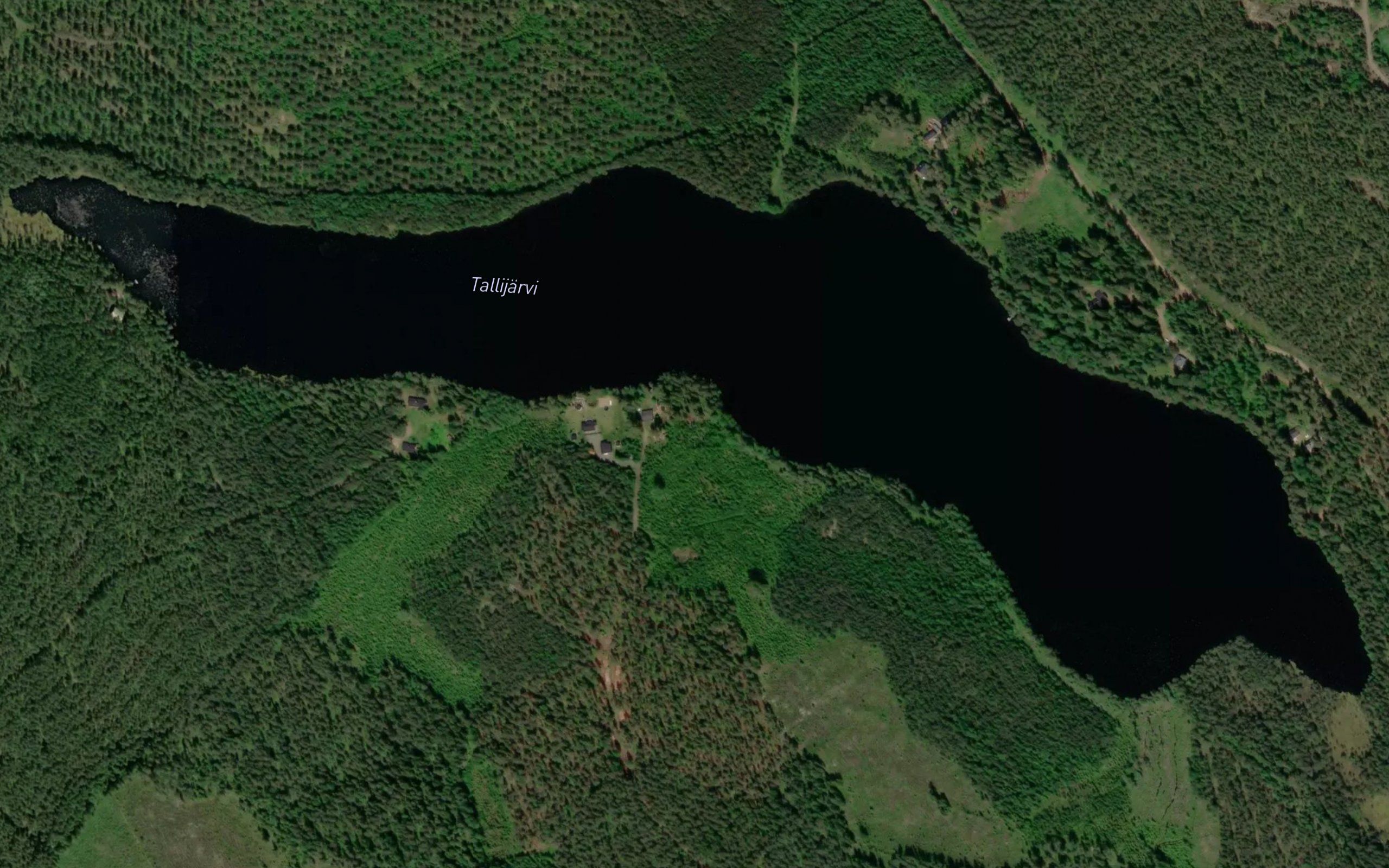 Tallijarvi