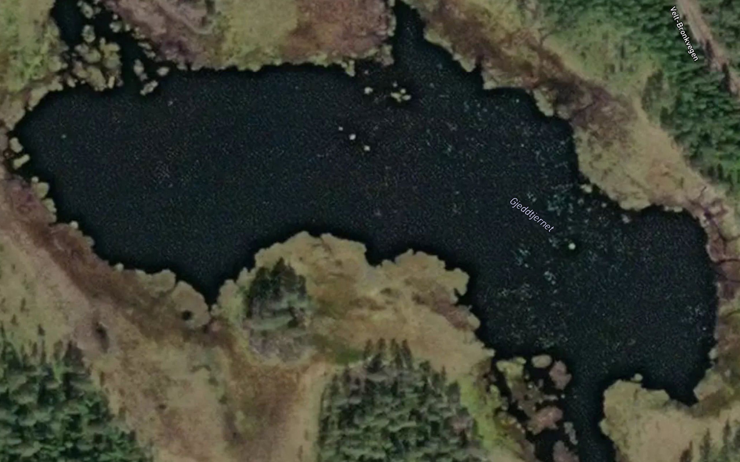 Gjeddtjernet