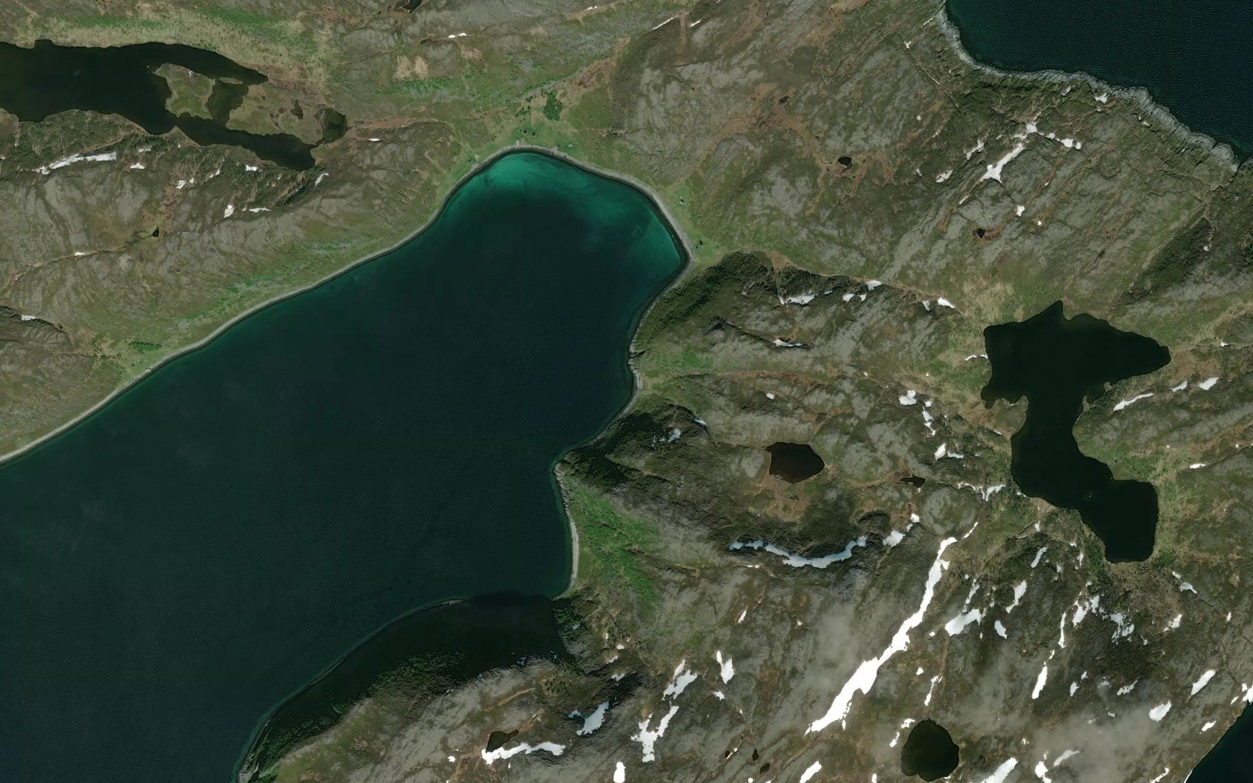 Kuvika