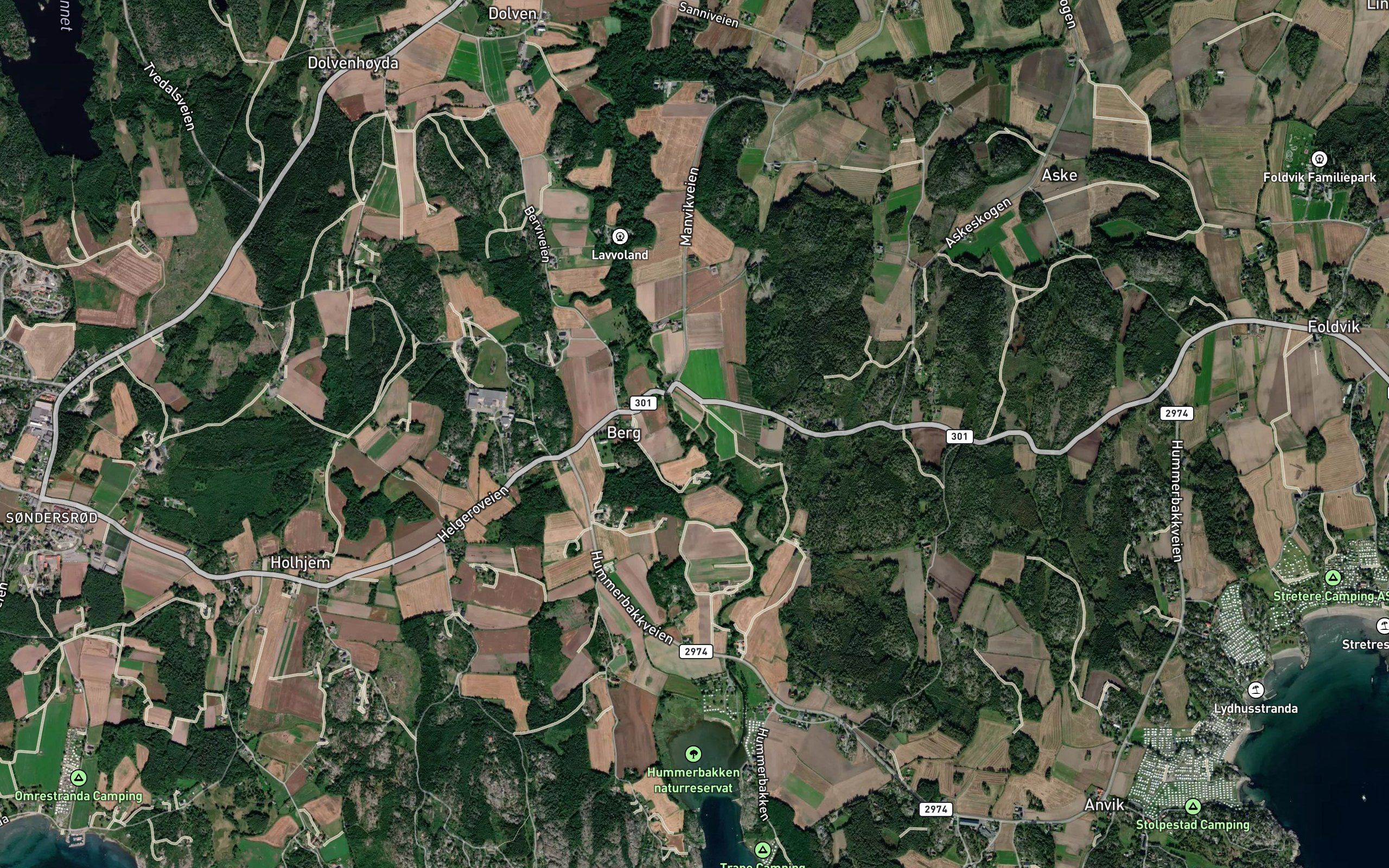 Bergselva