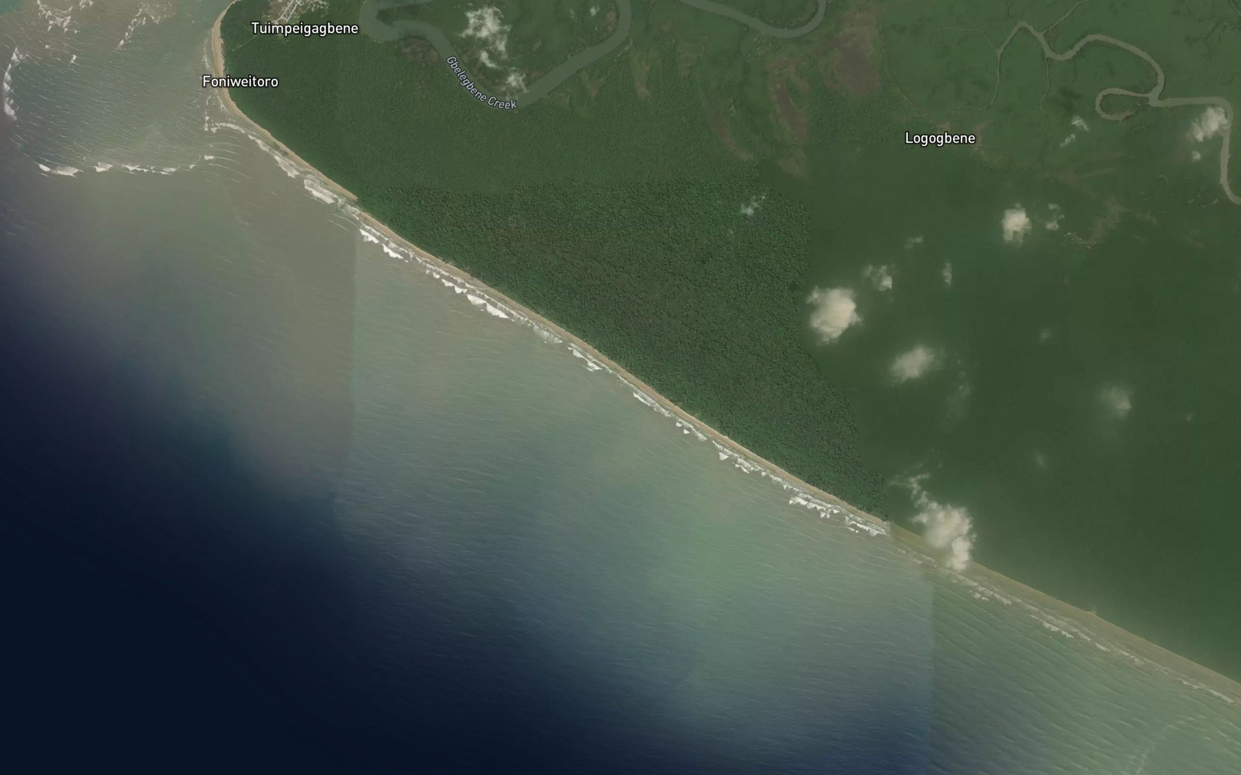 Satellite map of the Mouths of the Niger