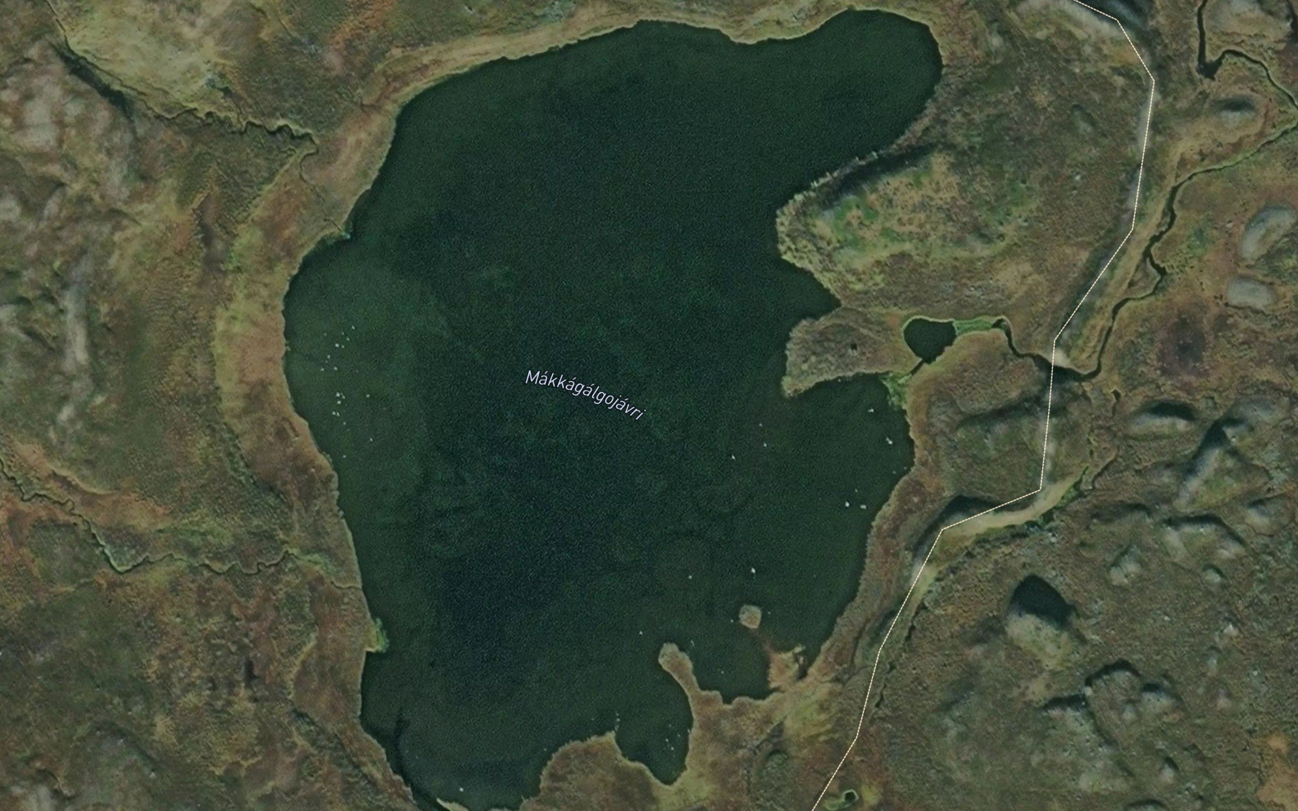 Maggagalgujavri