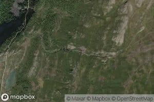 Randsverkgrovi,s
