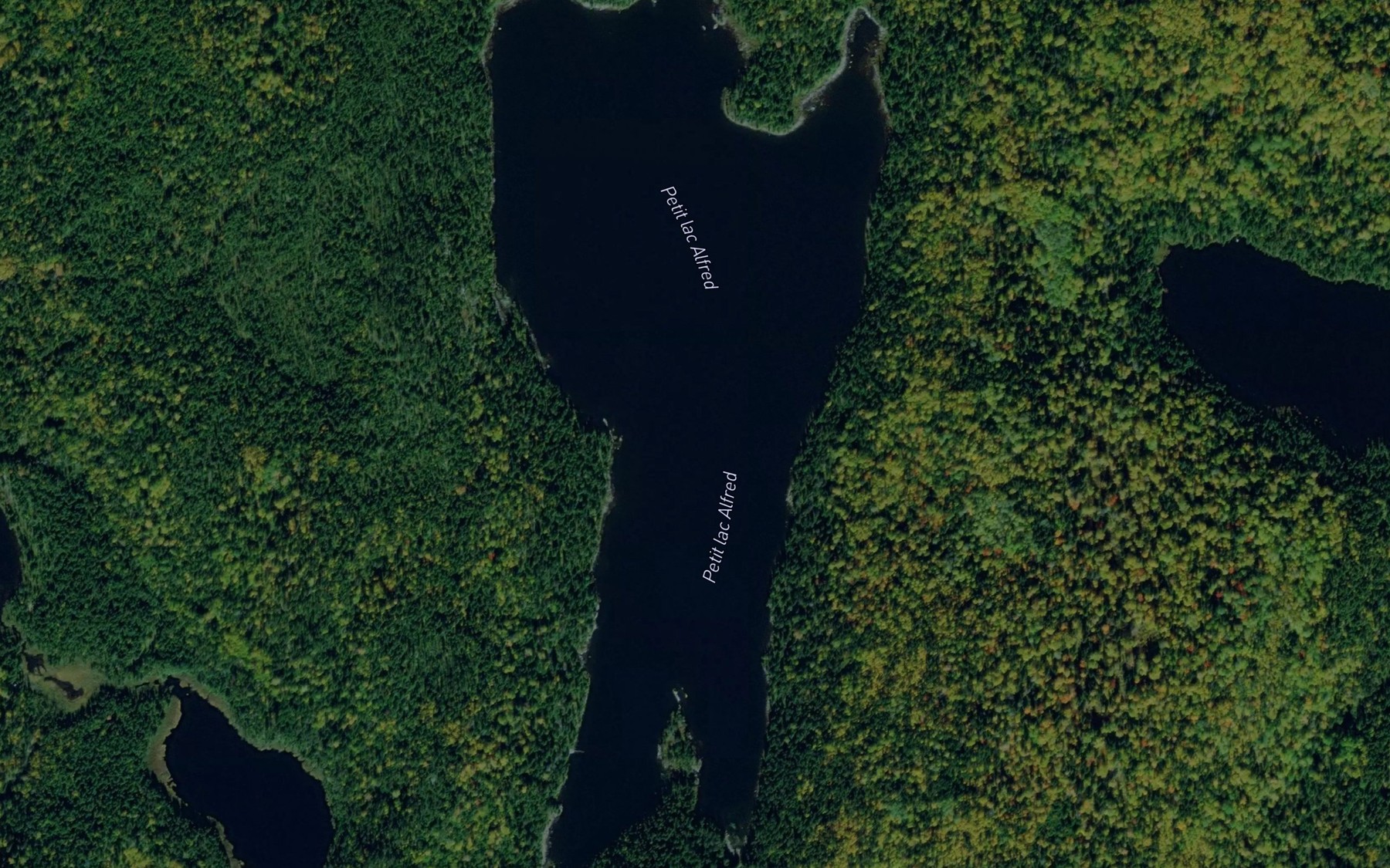 Satellite map of the Petit lac Alfred