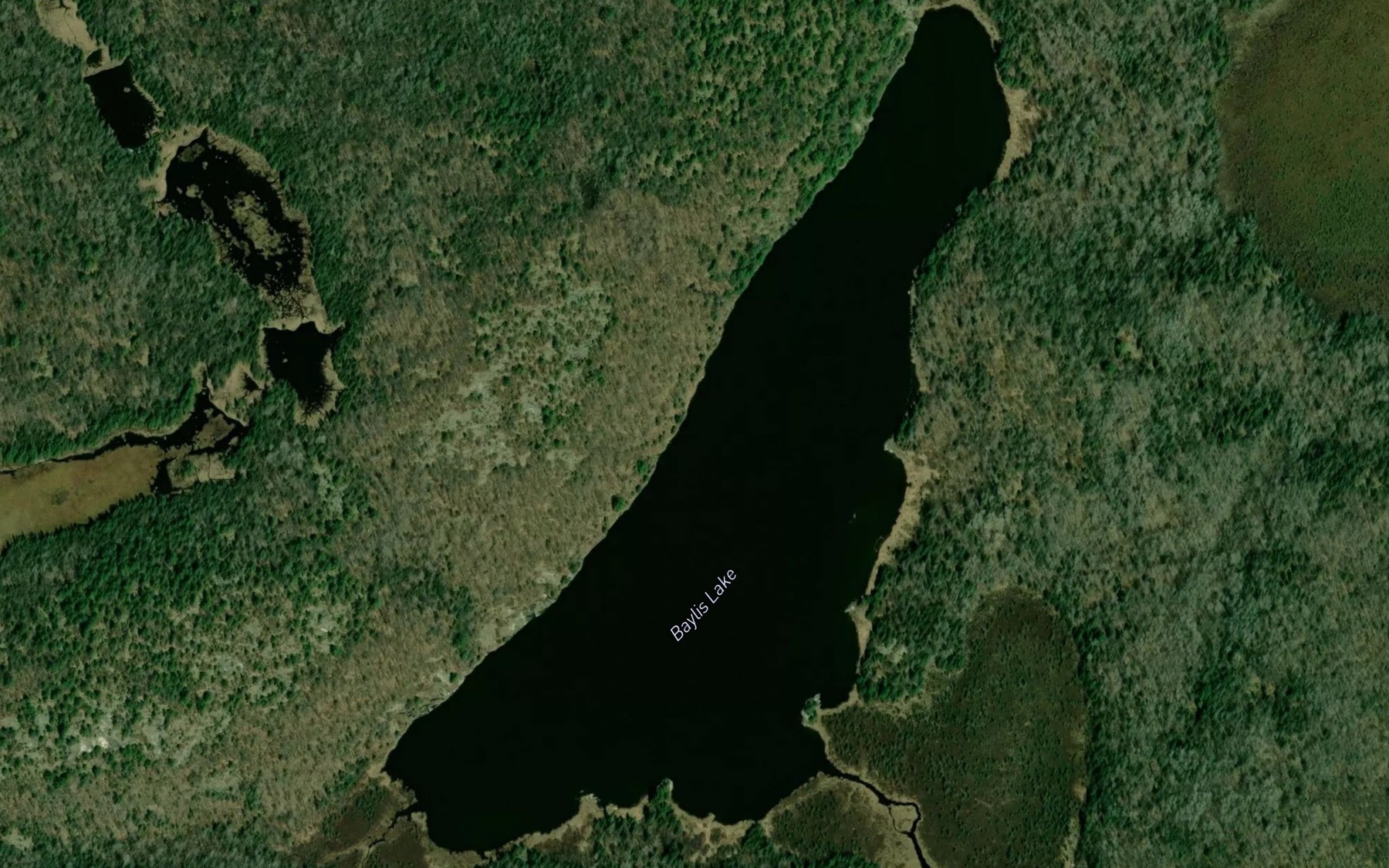 Satellite map of the Baylis Lake