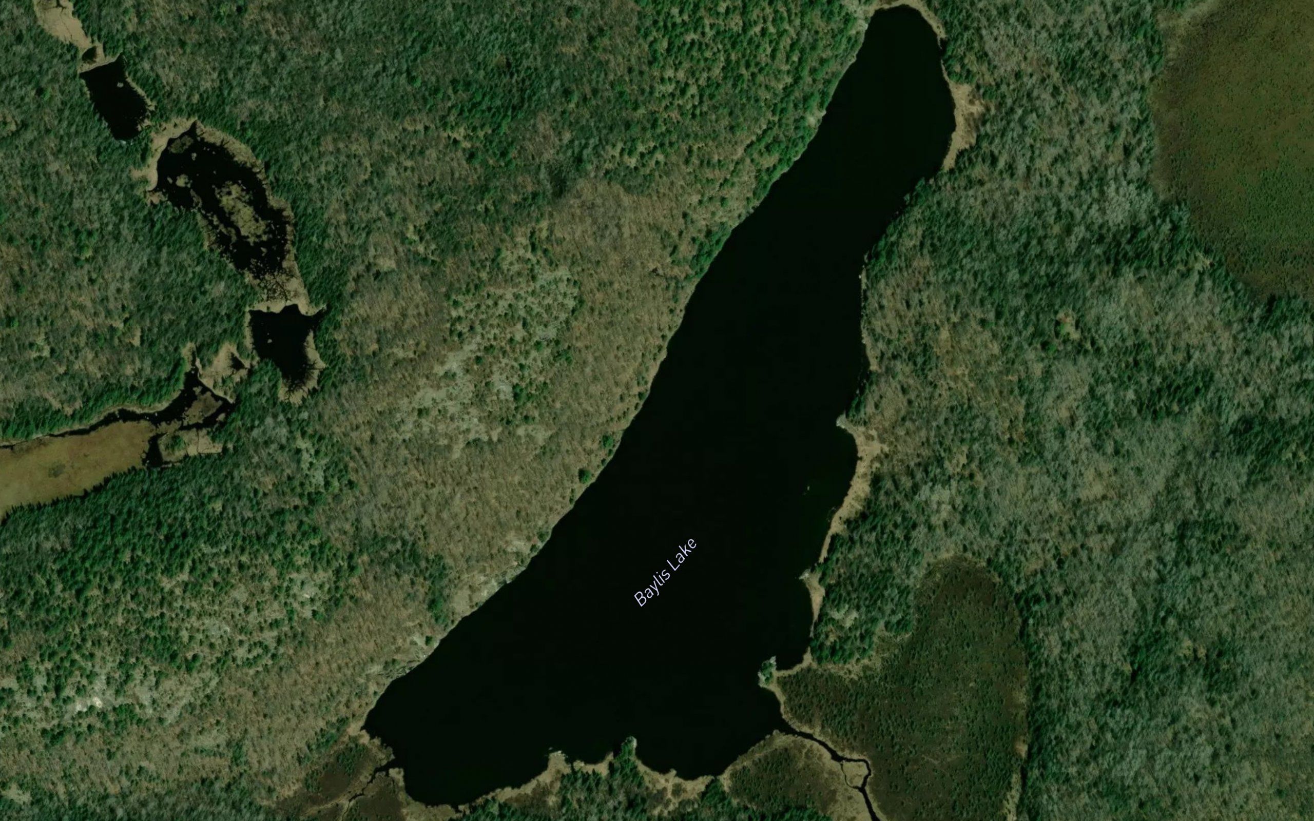 Baylis Lake