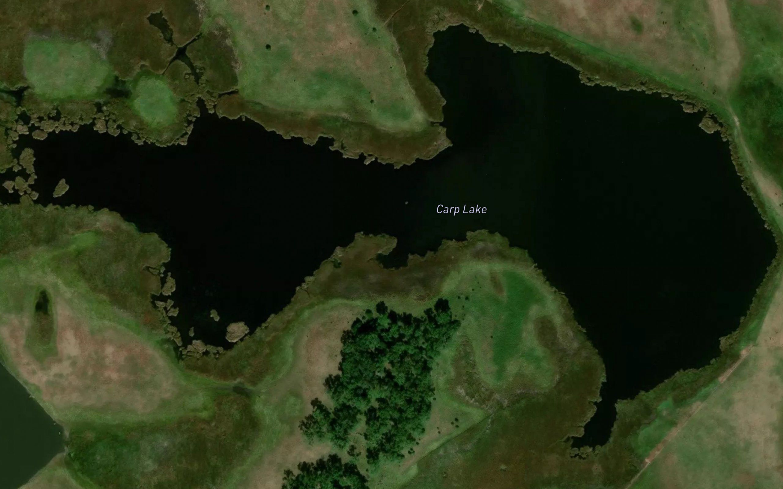 Carp Lake