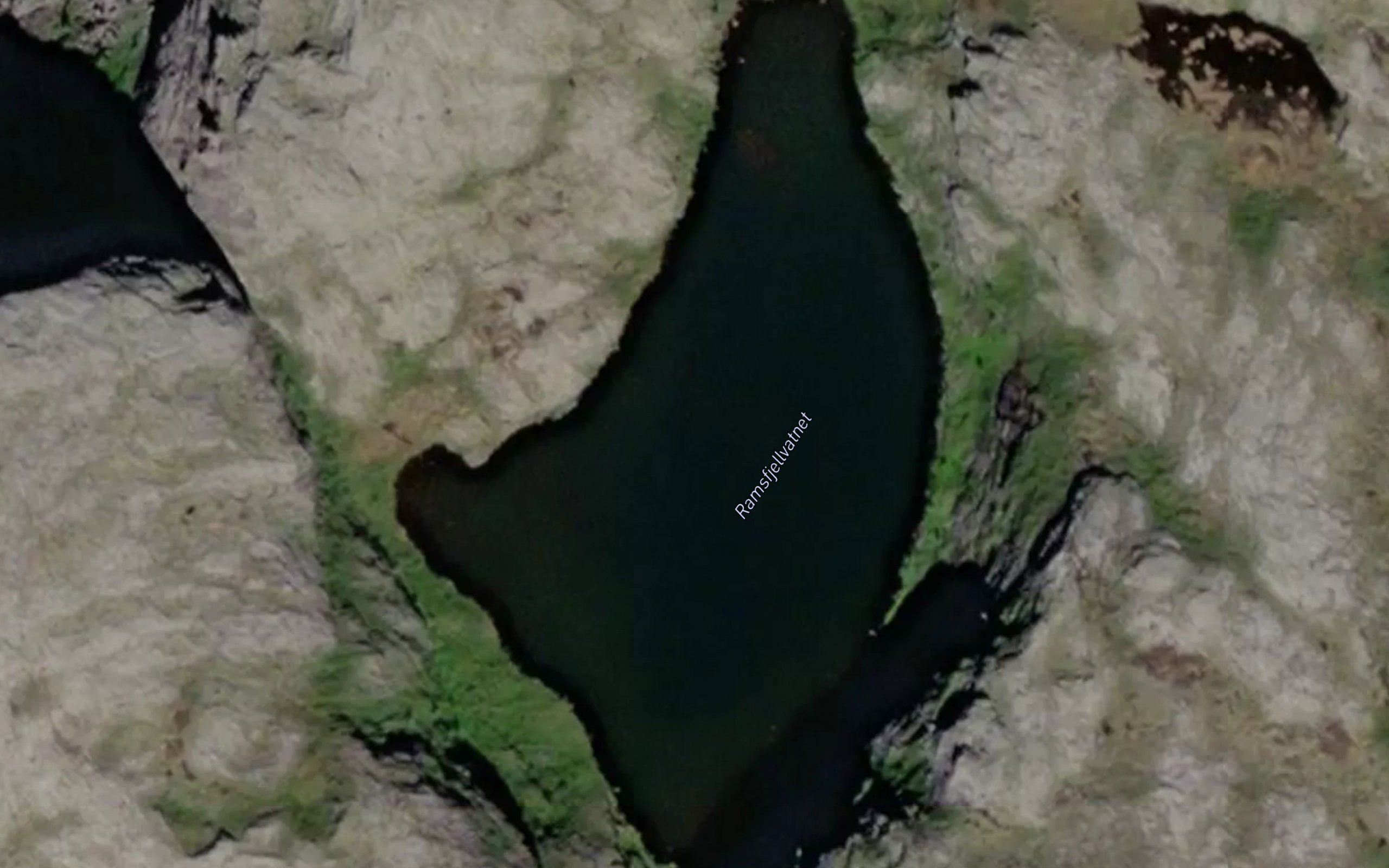 Ramsfjelltjonna