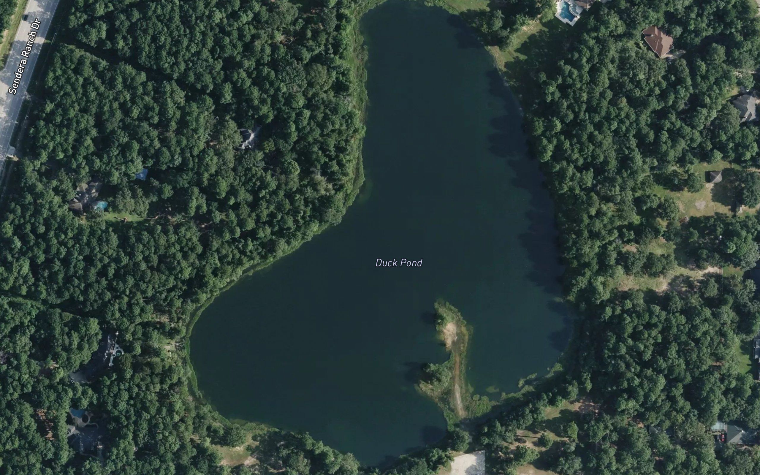 Duck Pond