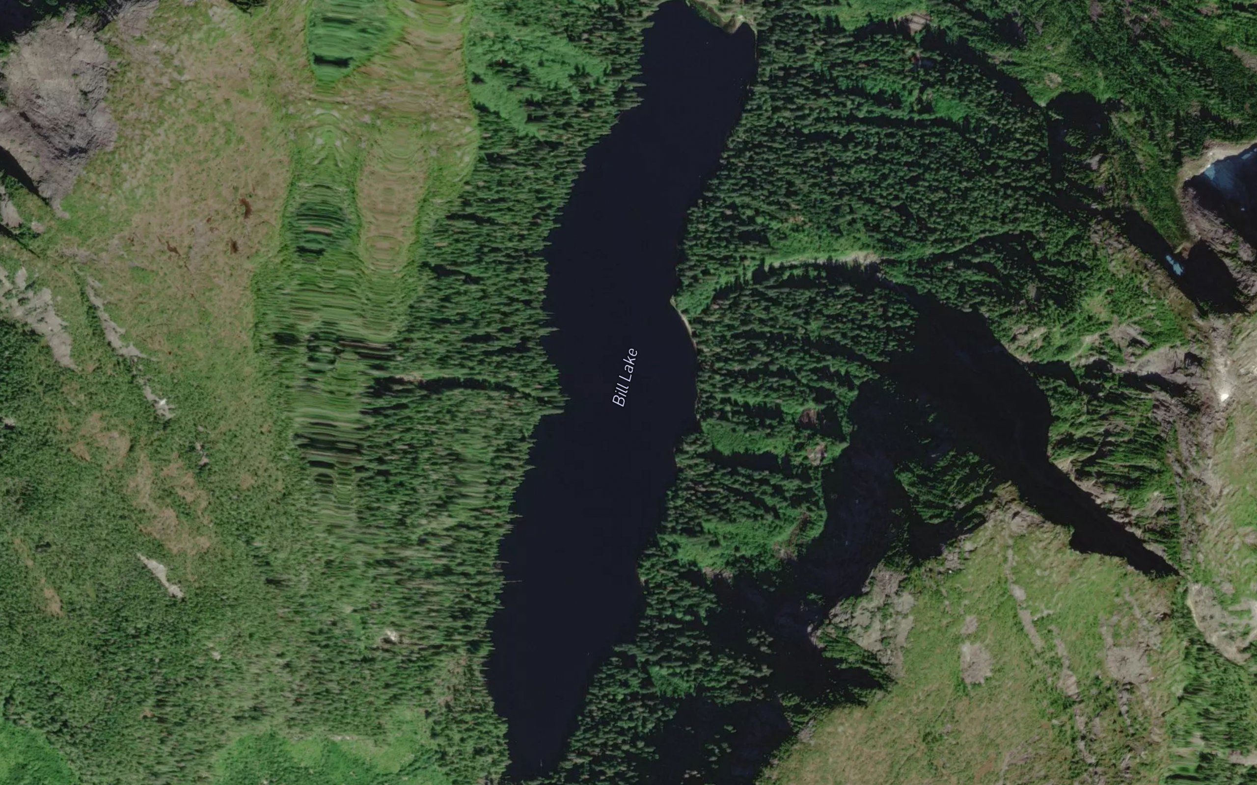 Bill Lake