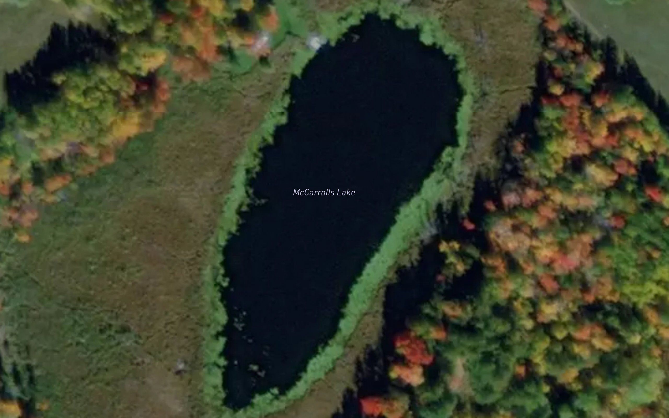 McCarrolls Lake