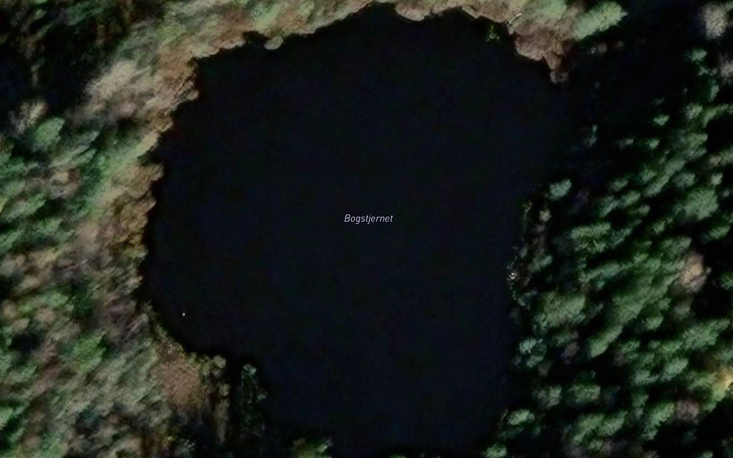 Bogstjernet