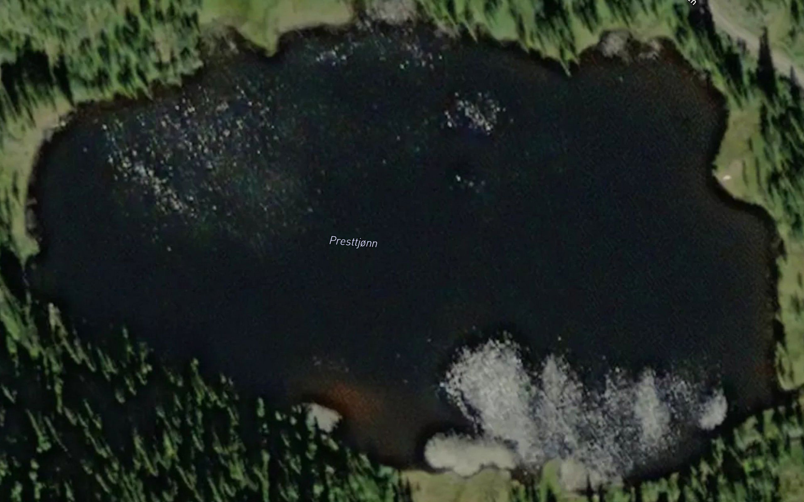 Presttjorn