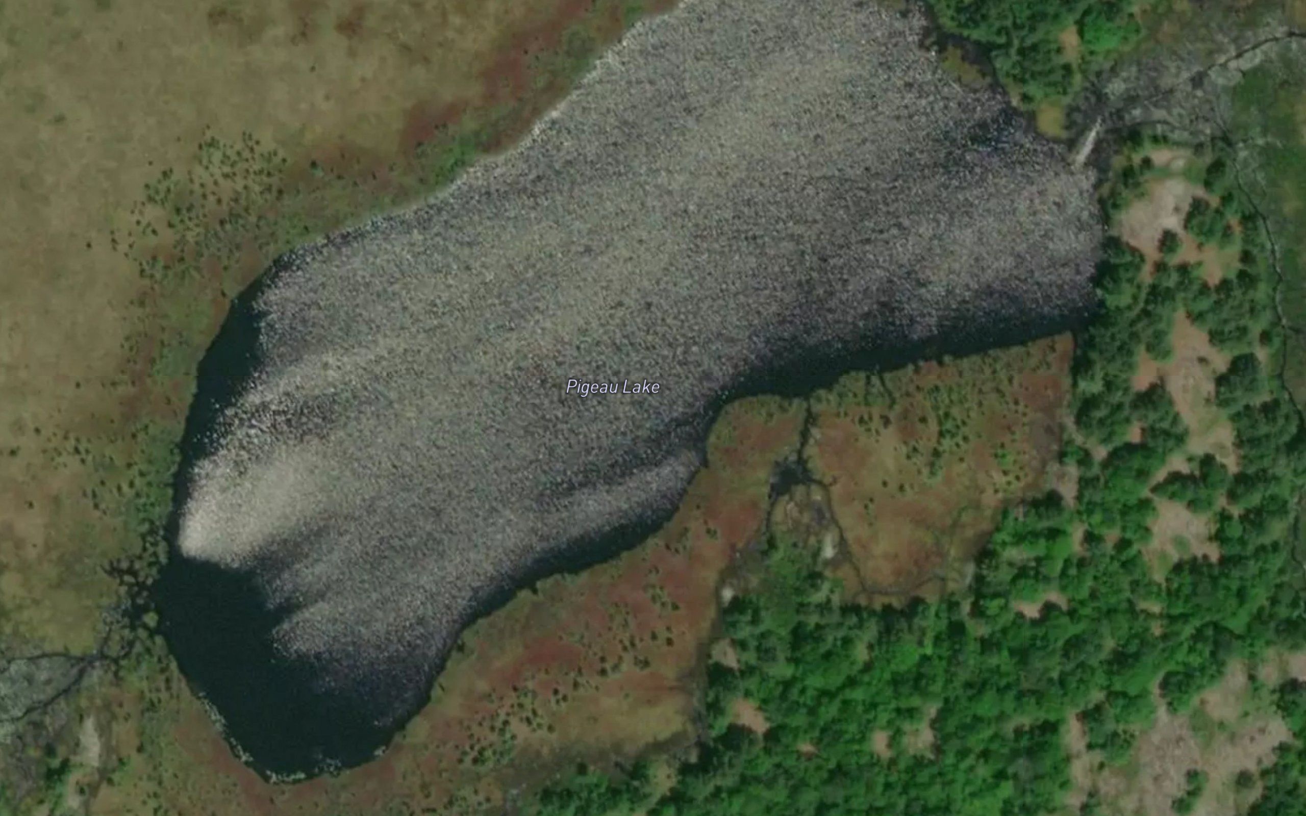 Pigeau Lake