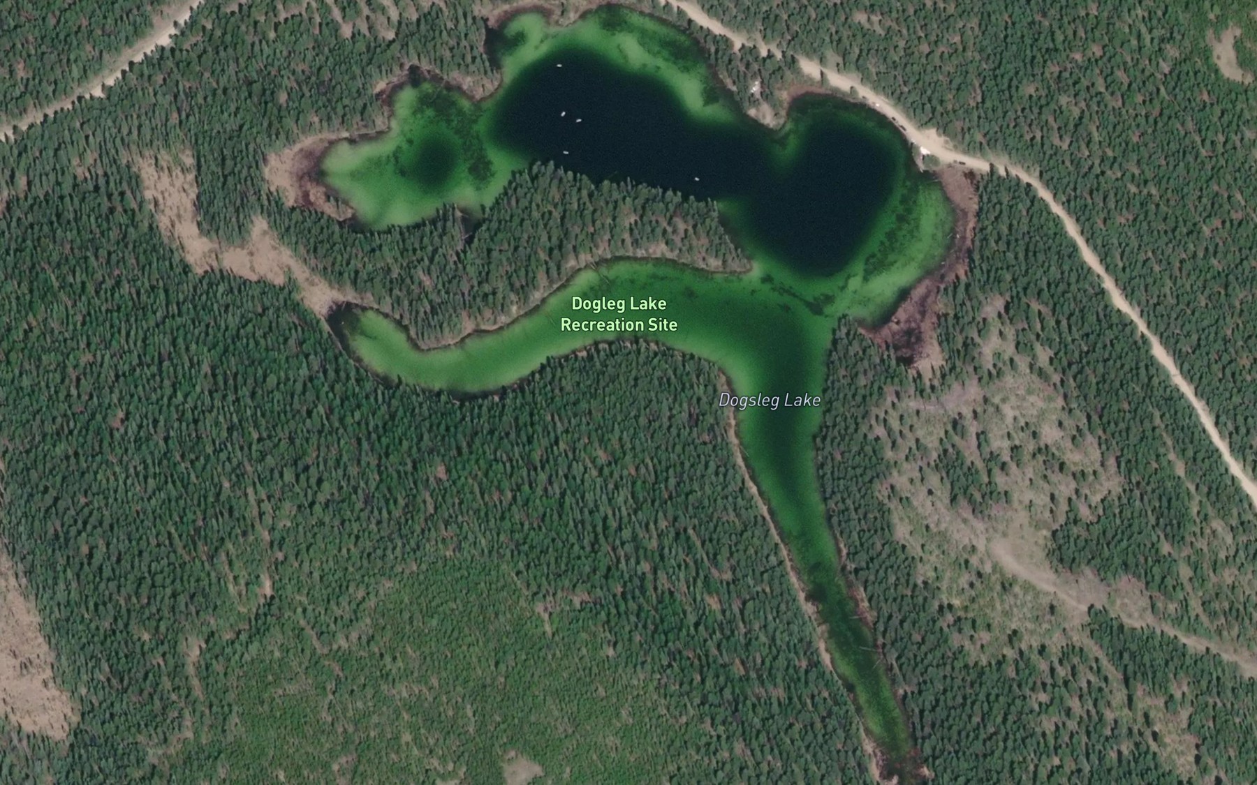 Satellite map of the Dogsleg Lake
