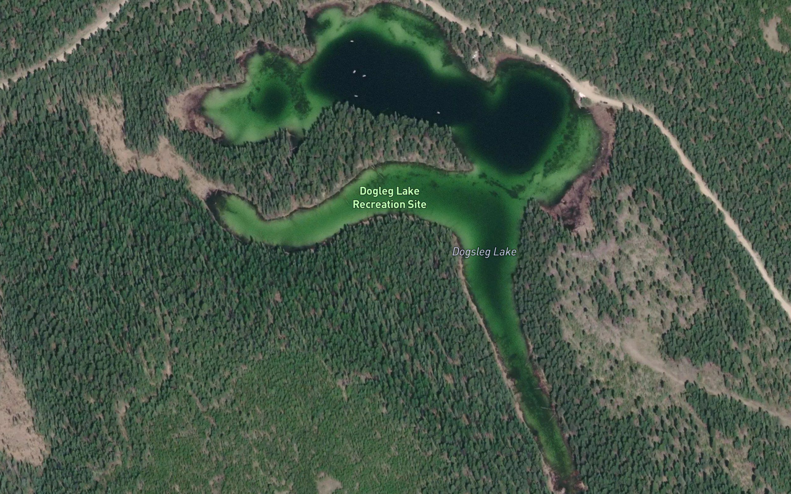Dogsleg Lake