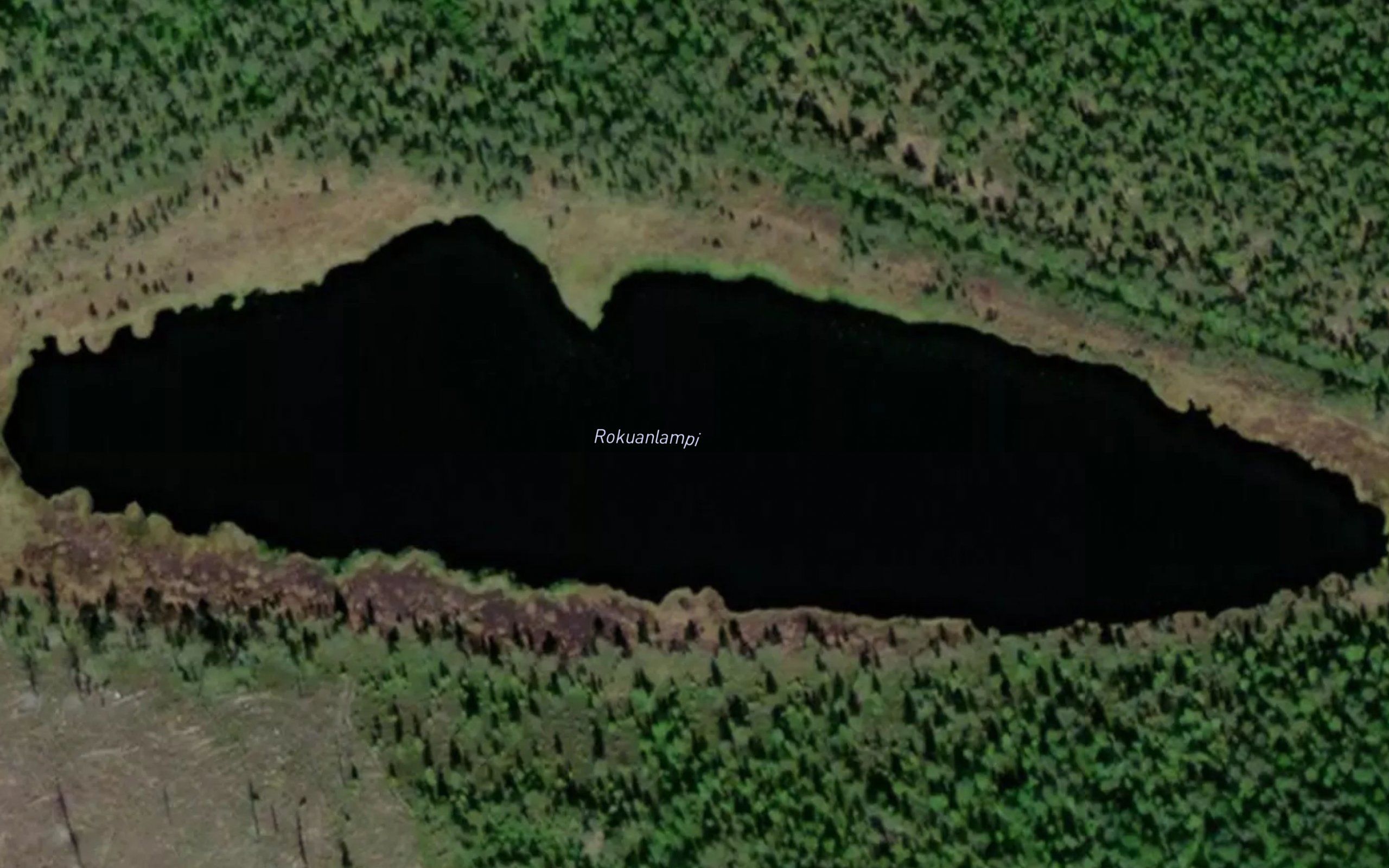 Rokuanlampi
