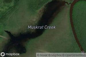 Muskrat Creek