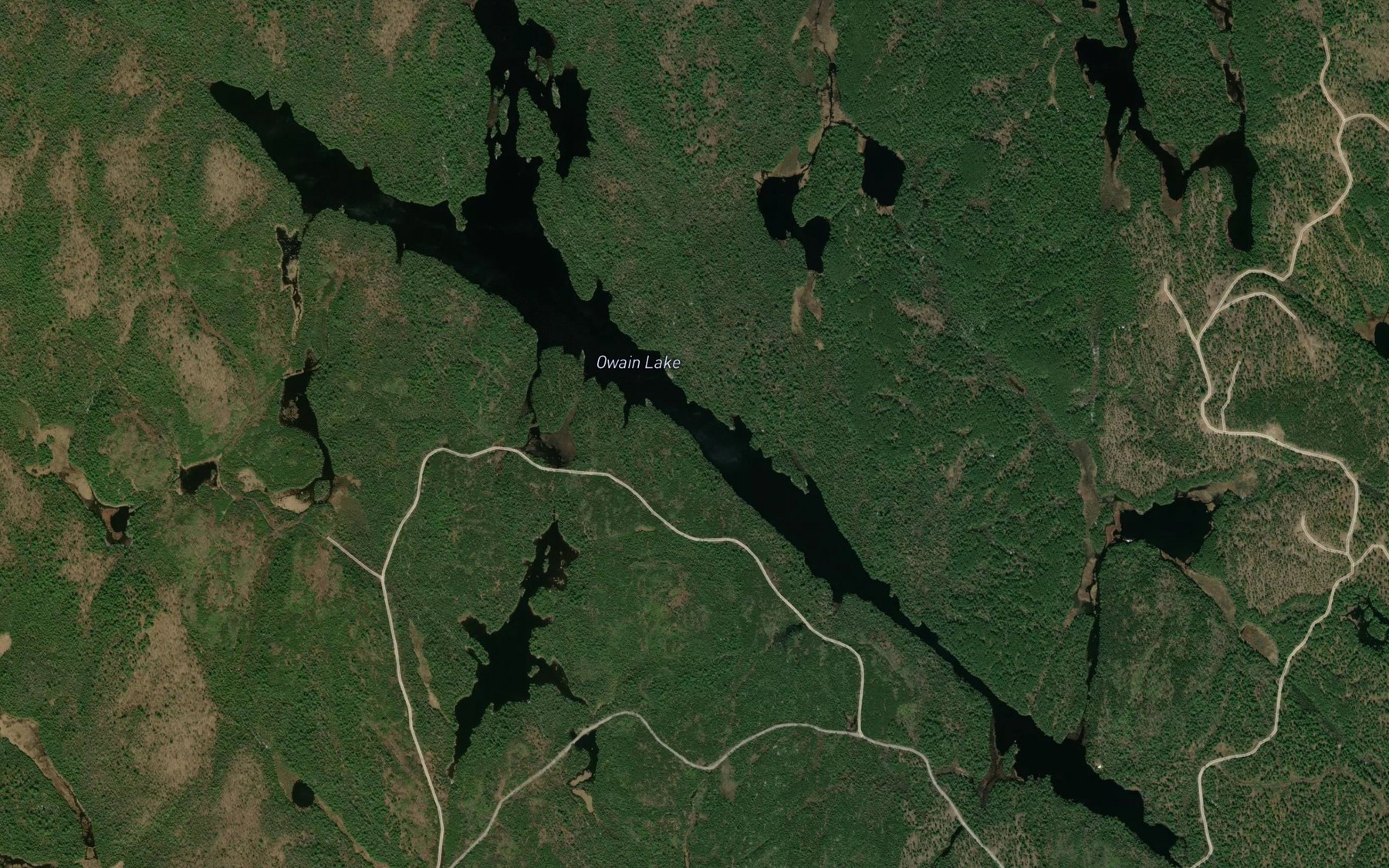 Satellite map of the Owain Lake