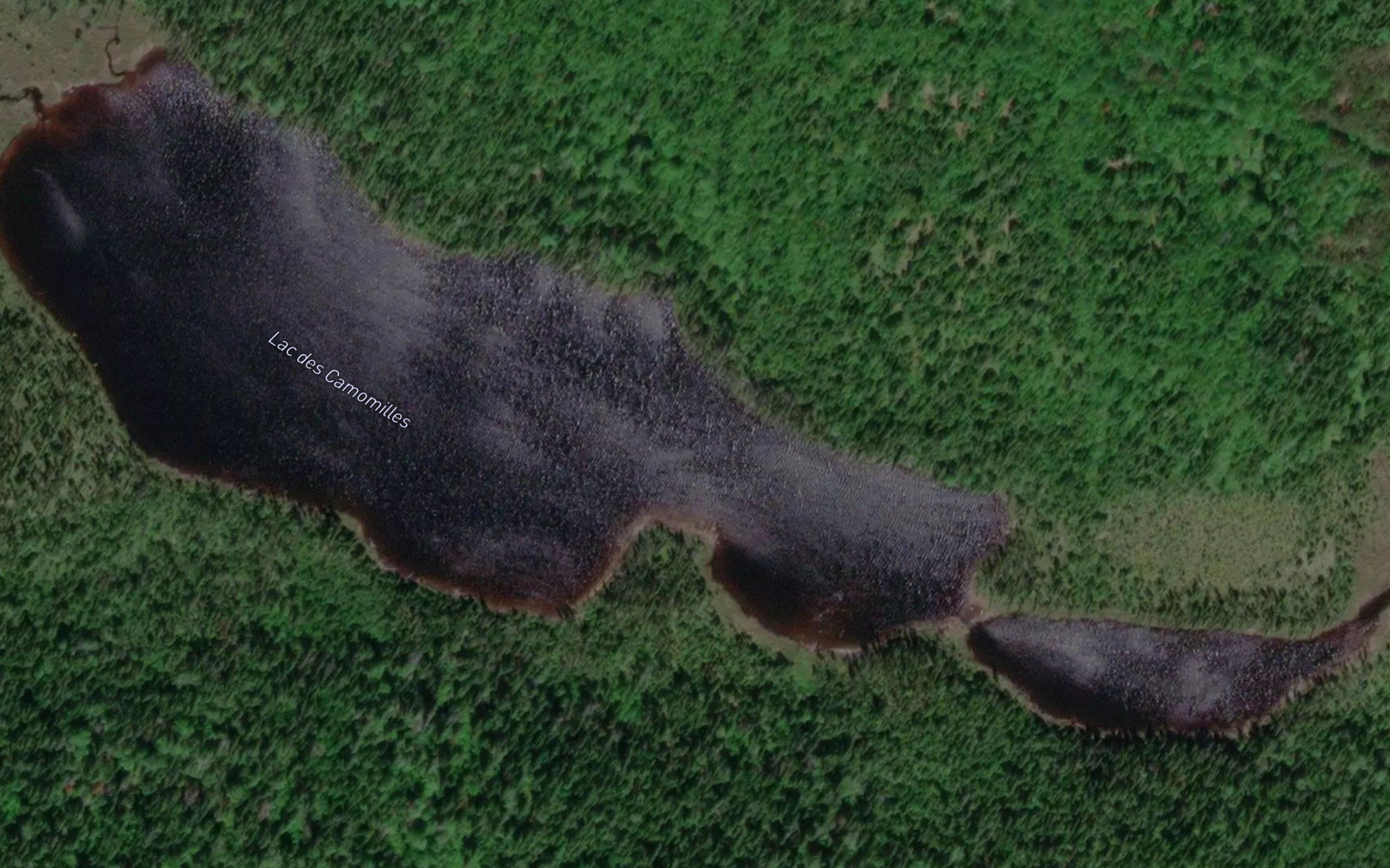 Lac des Camomilles