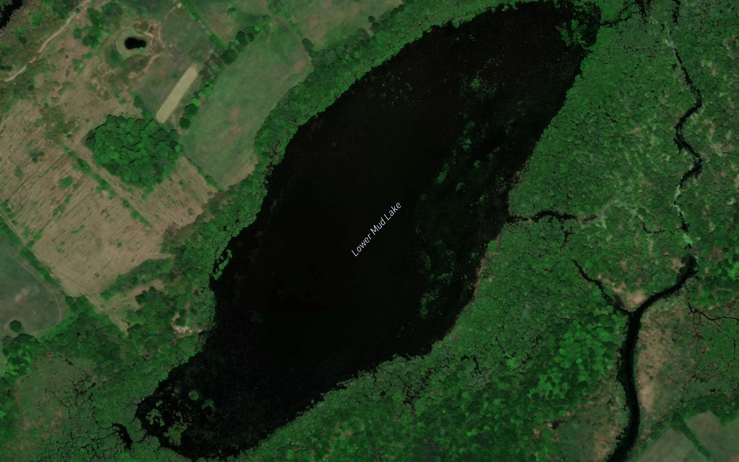 Lower Mud Lake