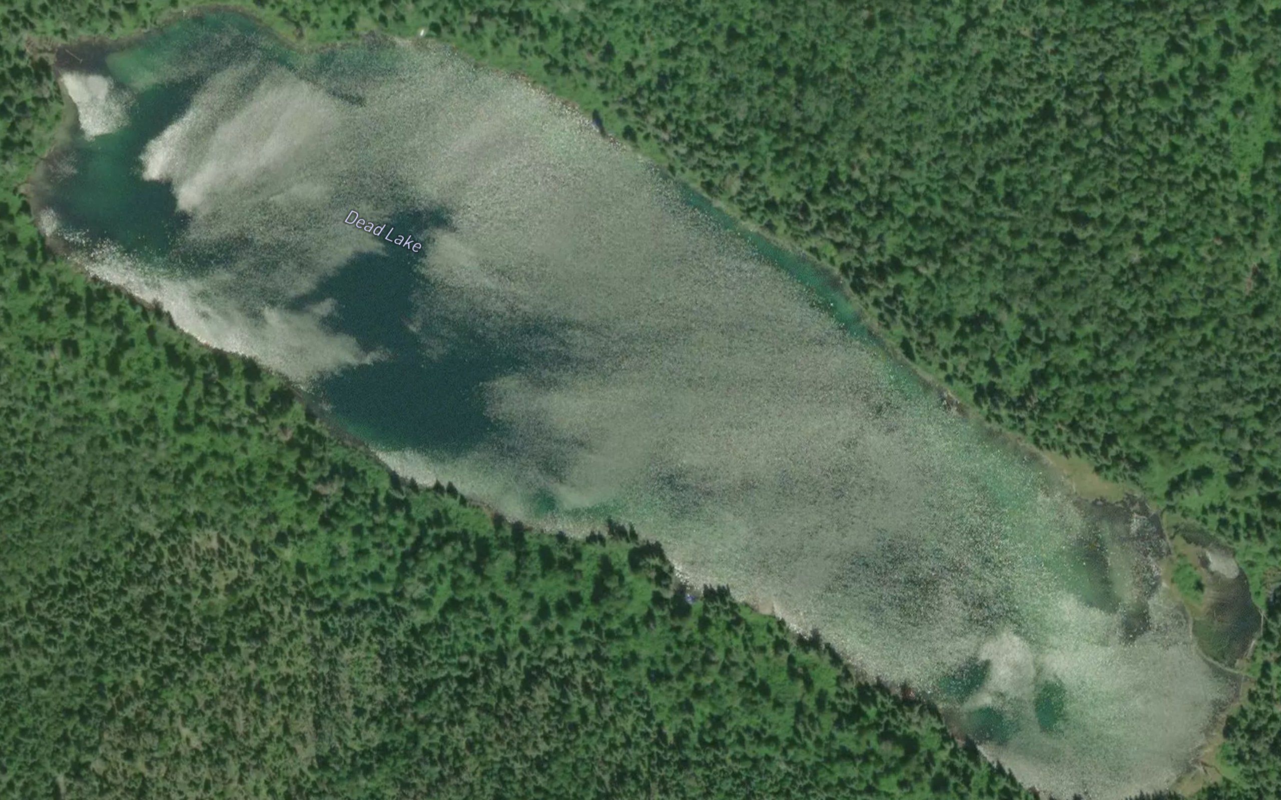 Dead Lake