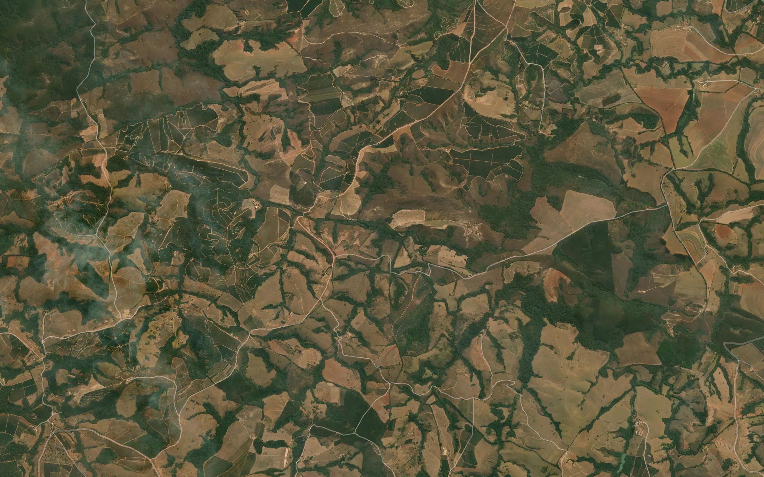 Corrego da Floresta