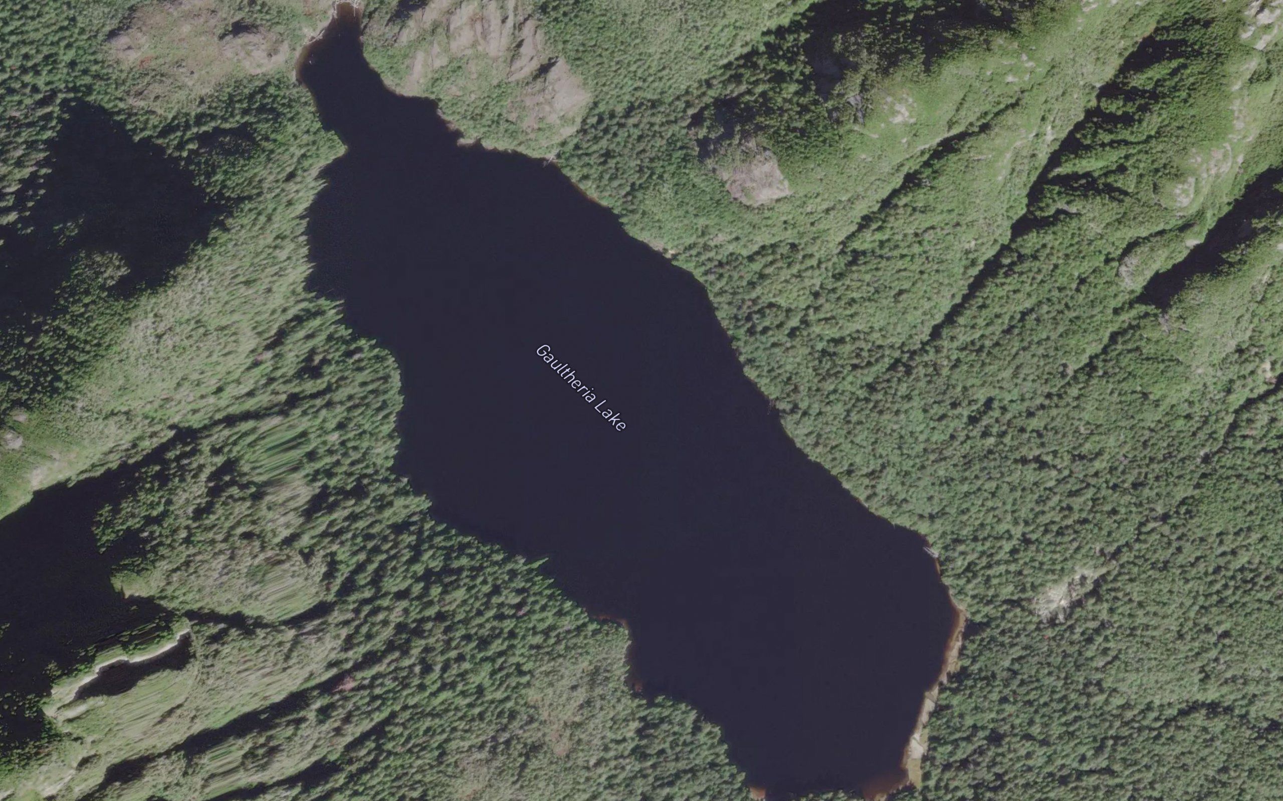 Gaultheria Lake